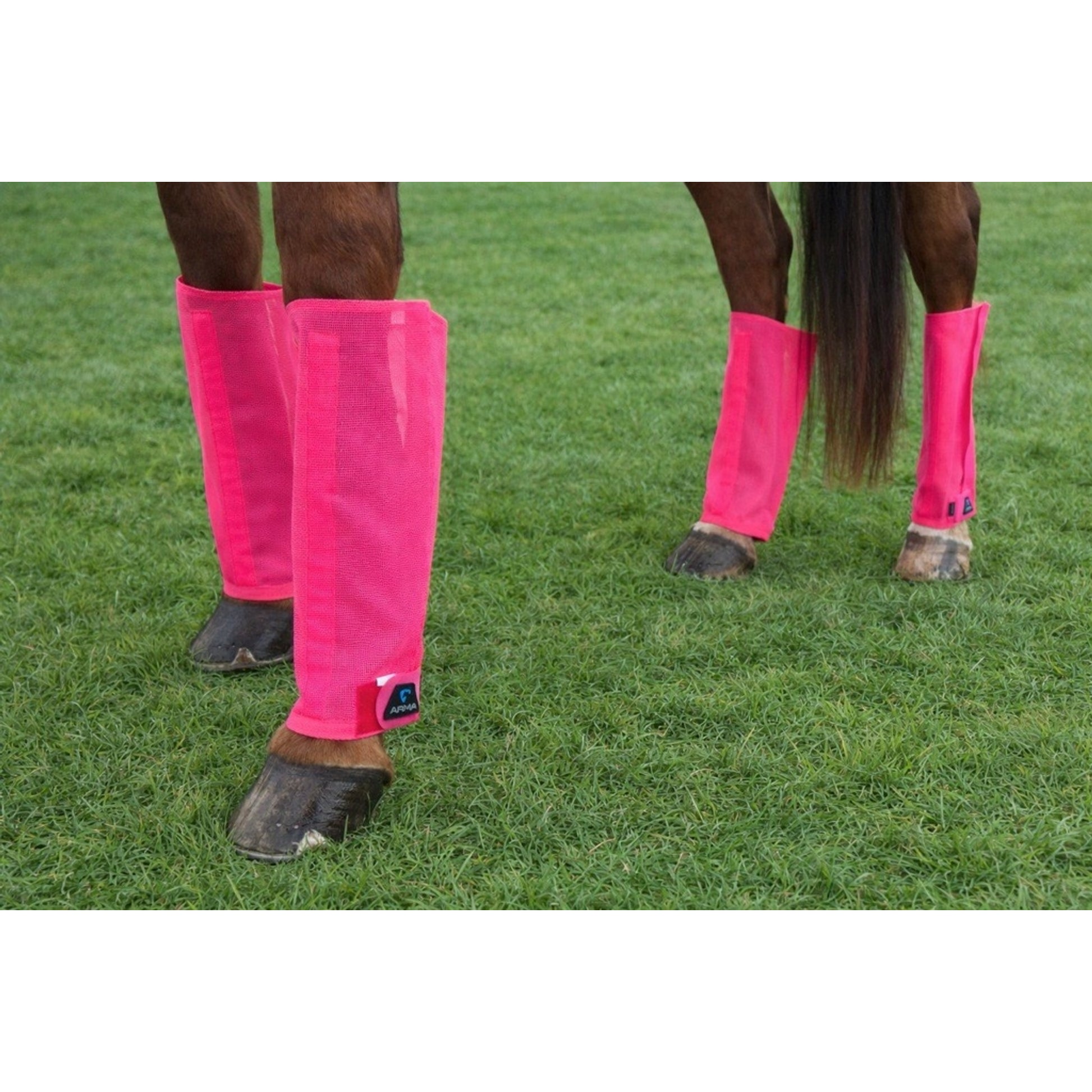 Shires Arma Mesh Fly Boots
