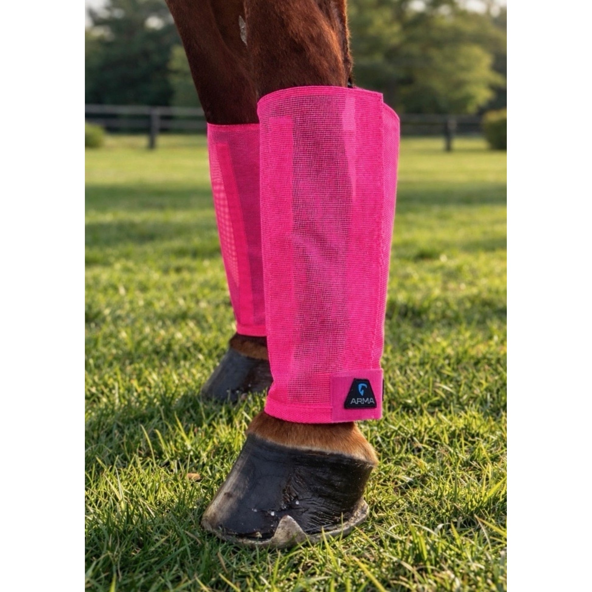 Shires Arma Mesh Fly Boots