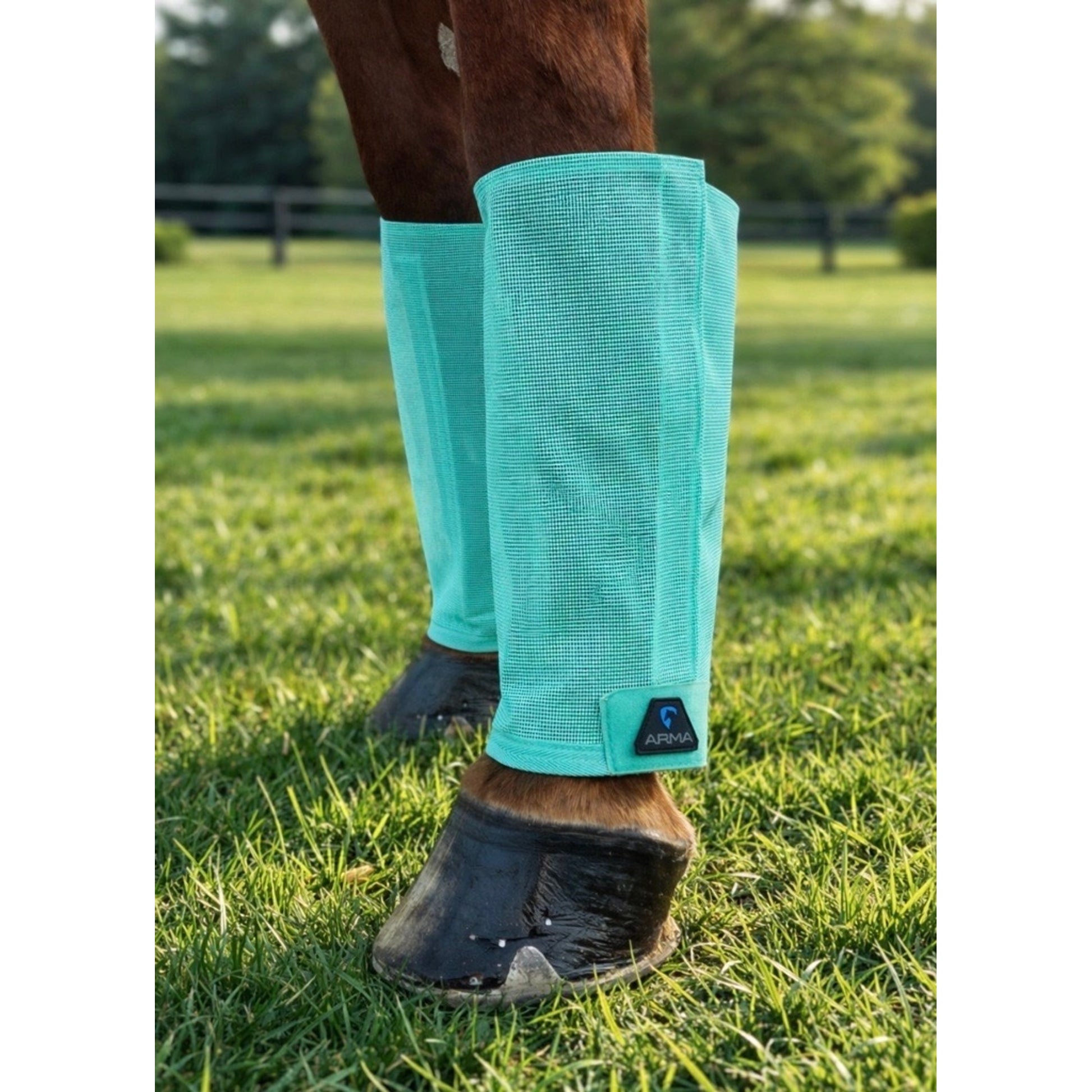 Shires Arma Mesh Fly Boots