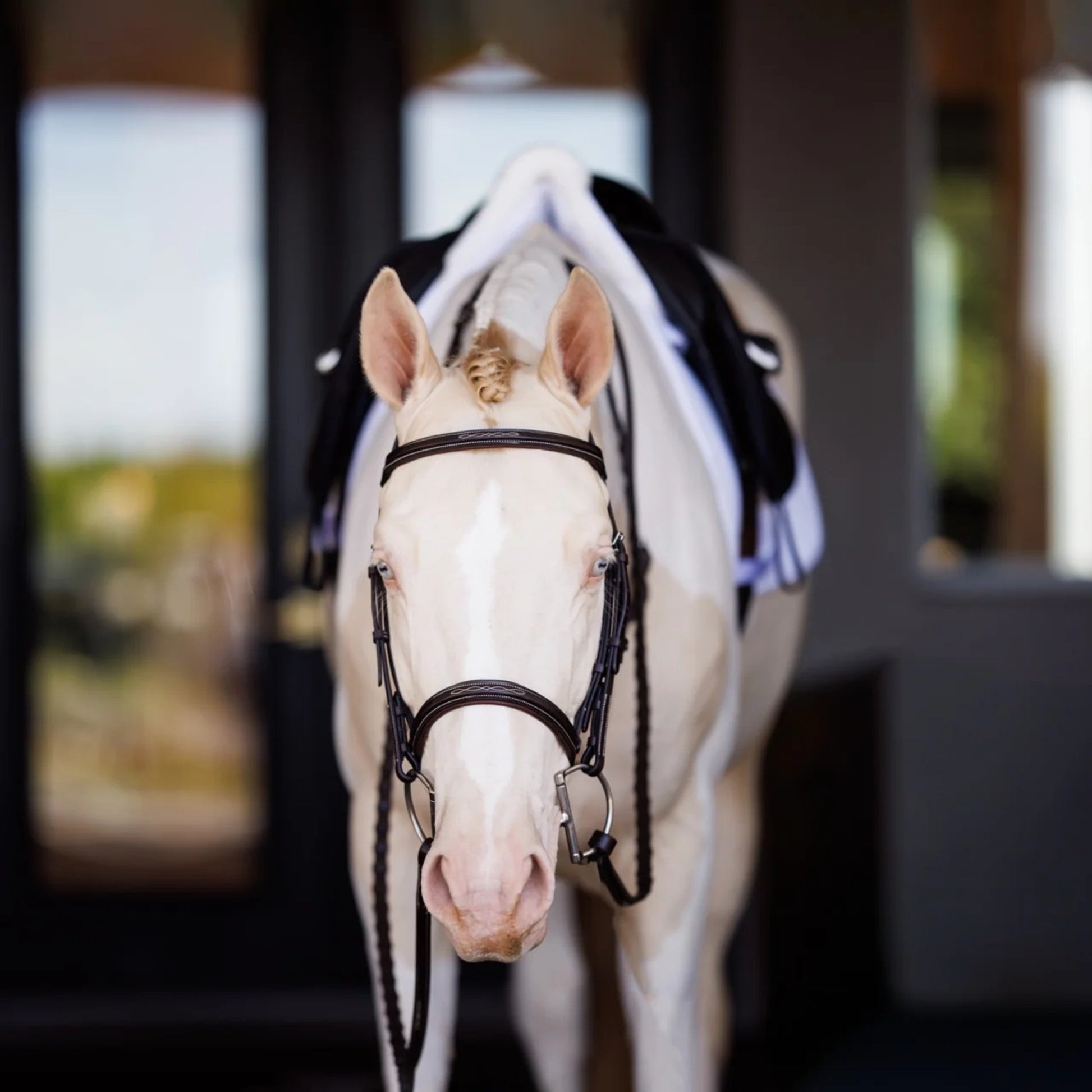 Shires Fancy Square Raised Laced Reins