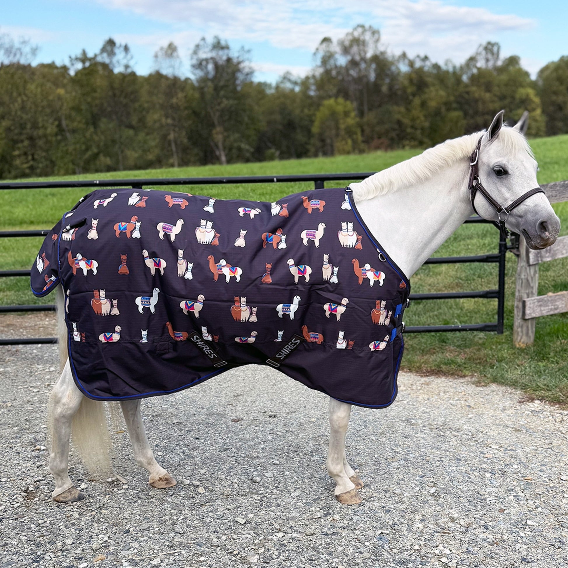 Shires Mini Highlander 200g TO