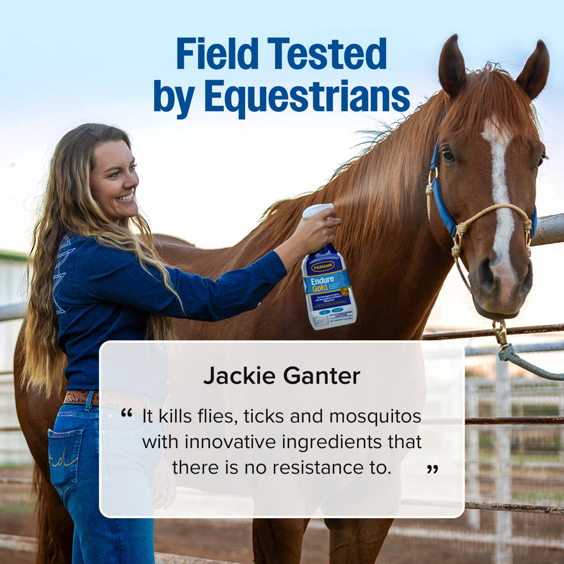 Farnam Endure Gold Fly Spray for Horses
