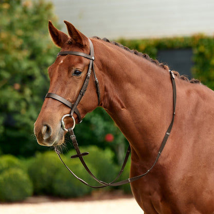 Dublin Flat Cavesson Bridle