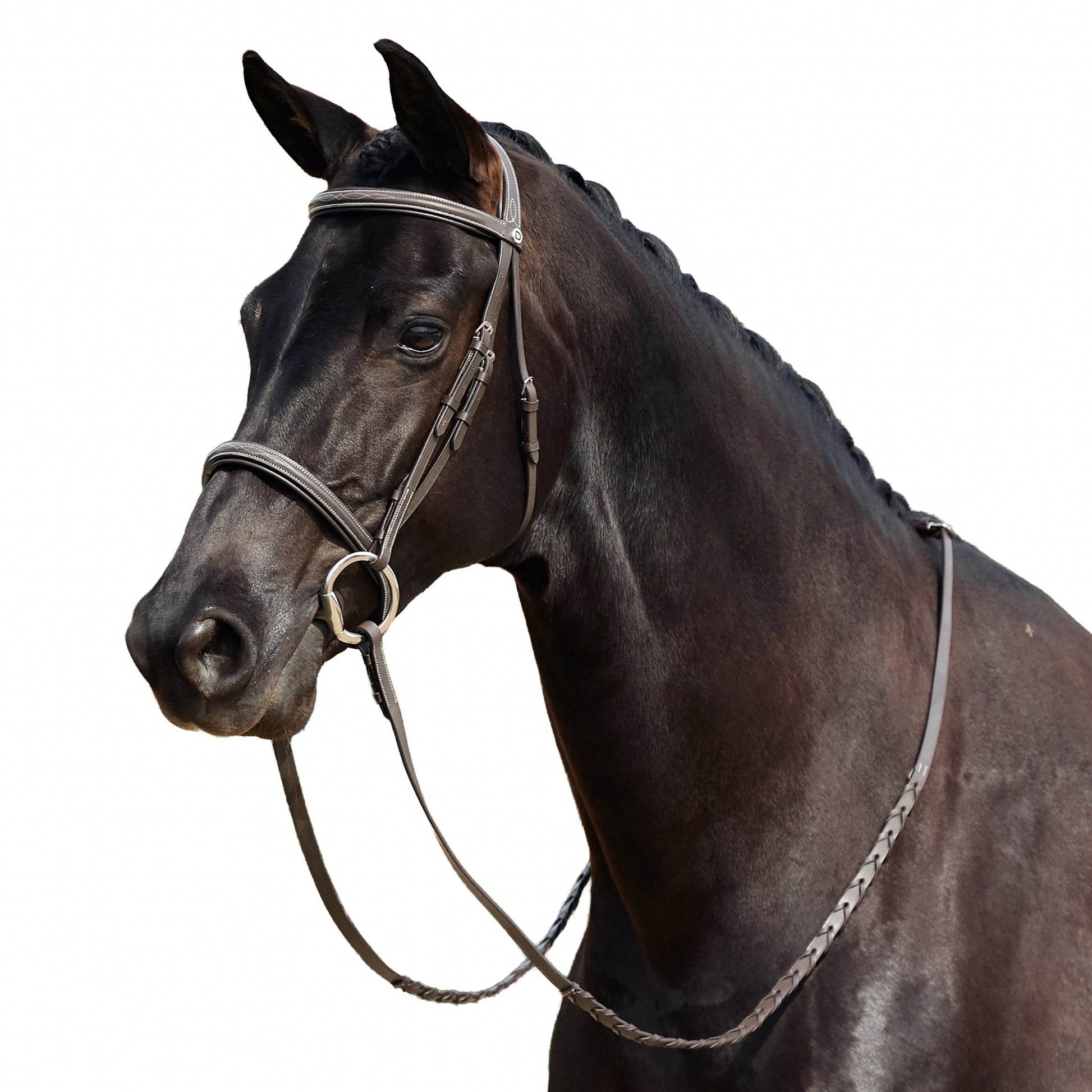 Dublin Padded Fancy Stitch Hunt Bridle