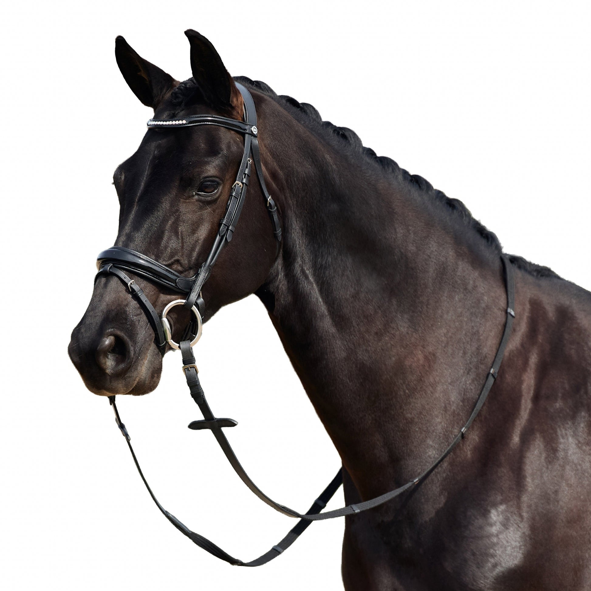 Dublin Patent Bridle