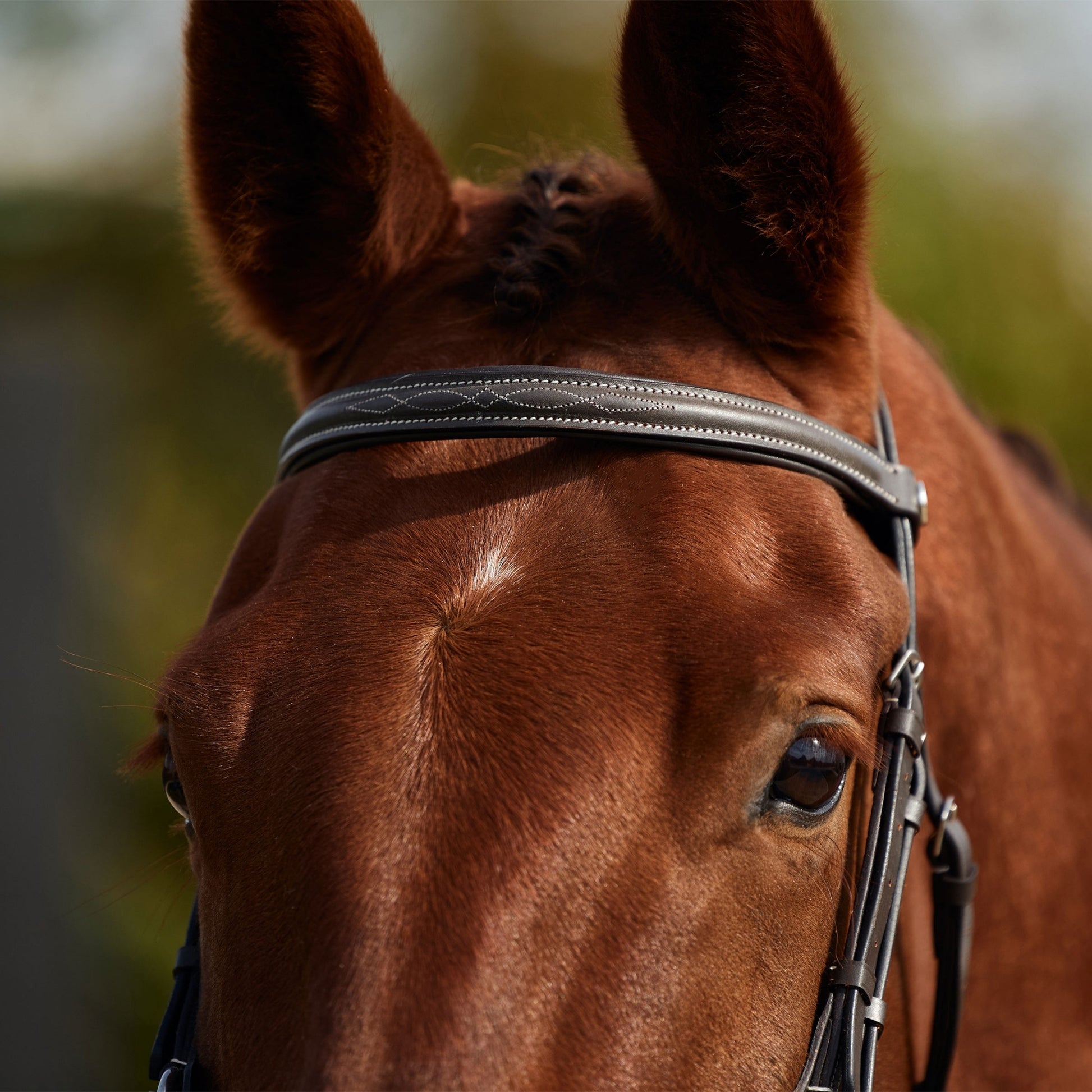 Dublin Padded Fancy Stitch Grackle Bridle