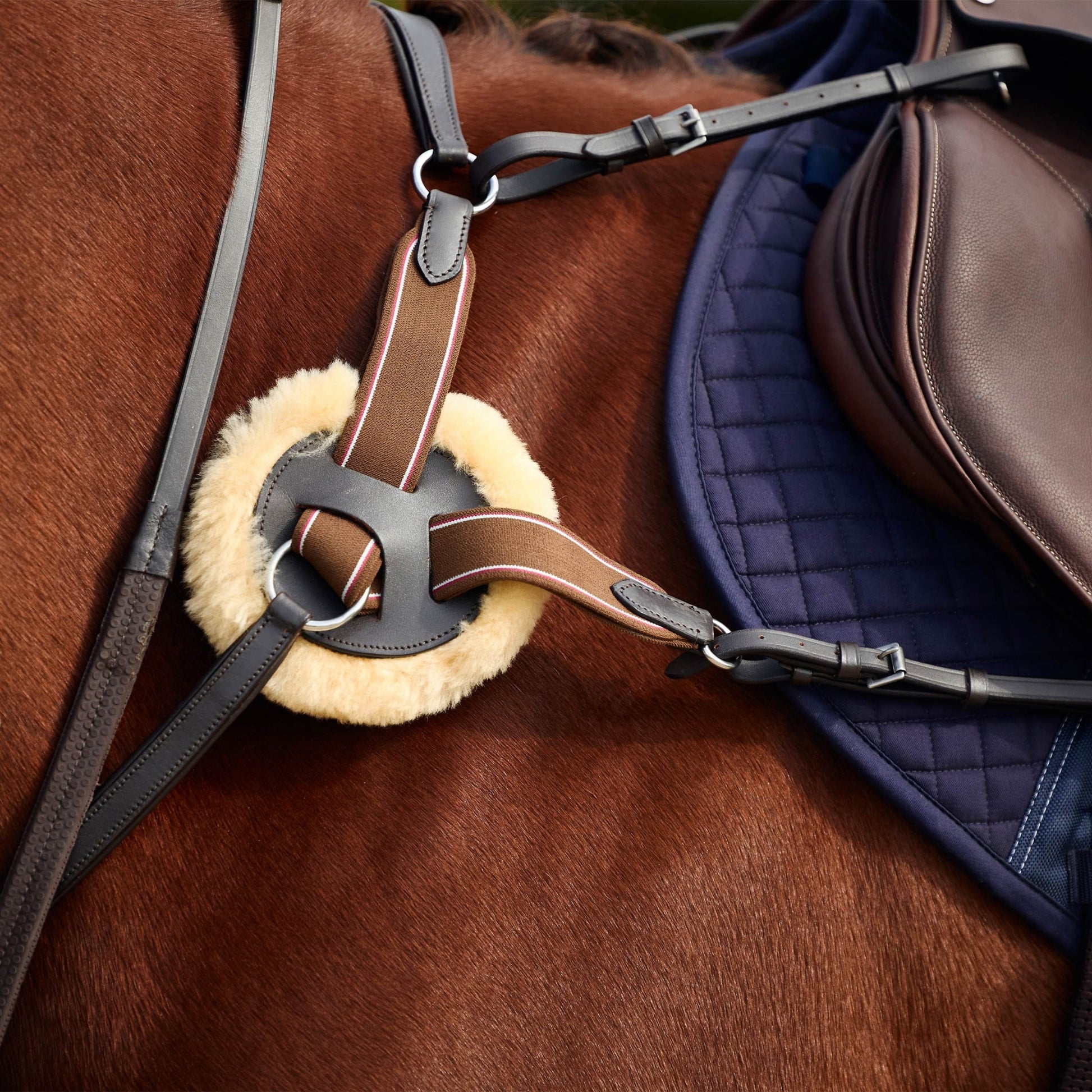 Dublin 5-Point Event Breastplate