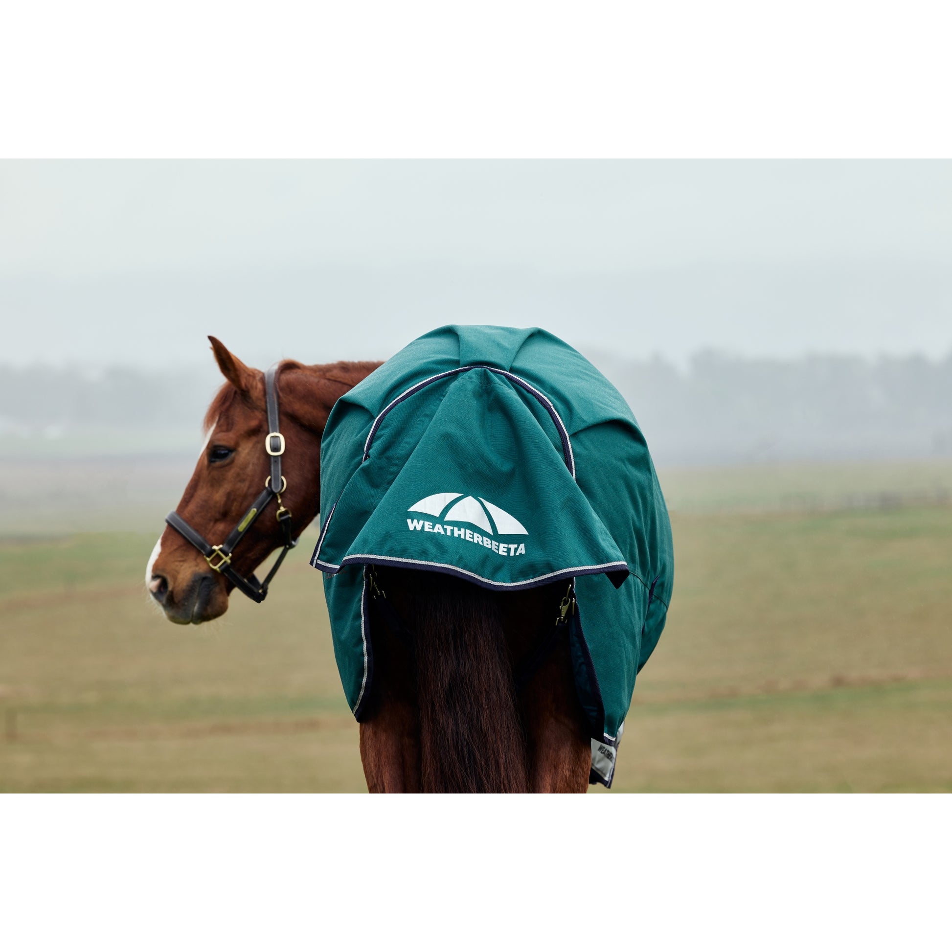 Weatherbeeta ComFiTec Plus Dynamic Turnout High Neck 100g