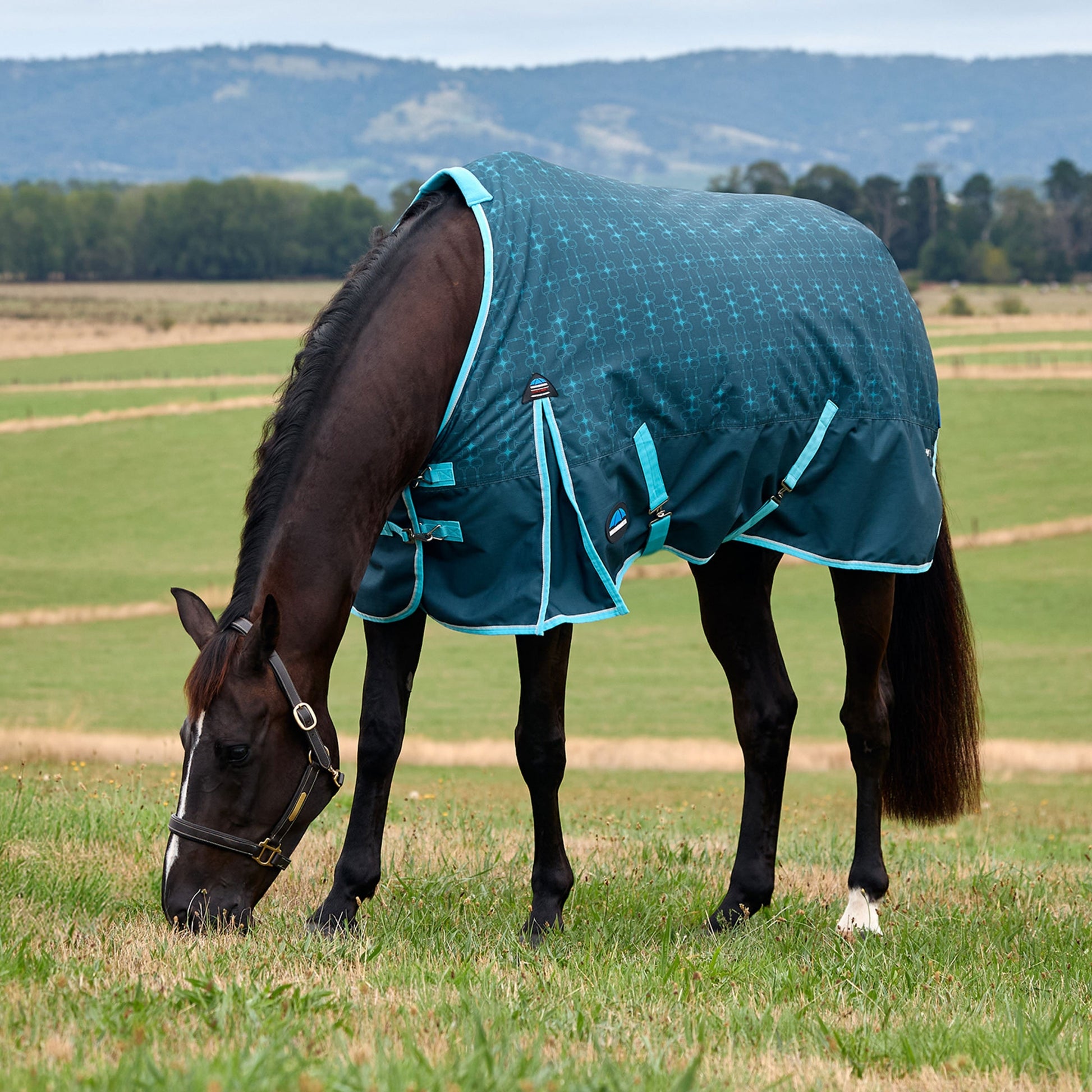 Weatherbeeta ComFiTec Limited Edition Turnout 220g