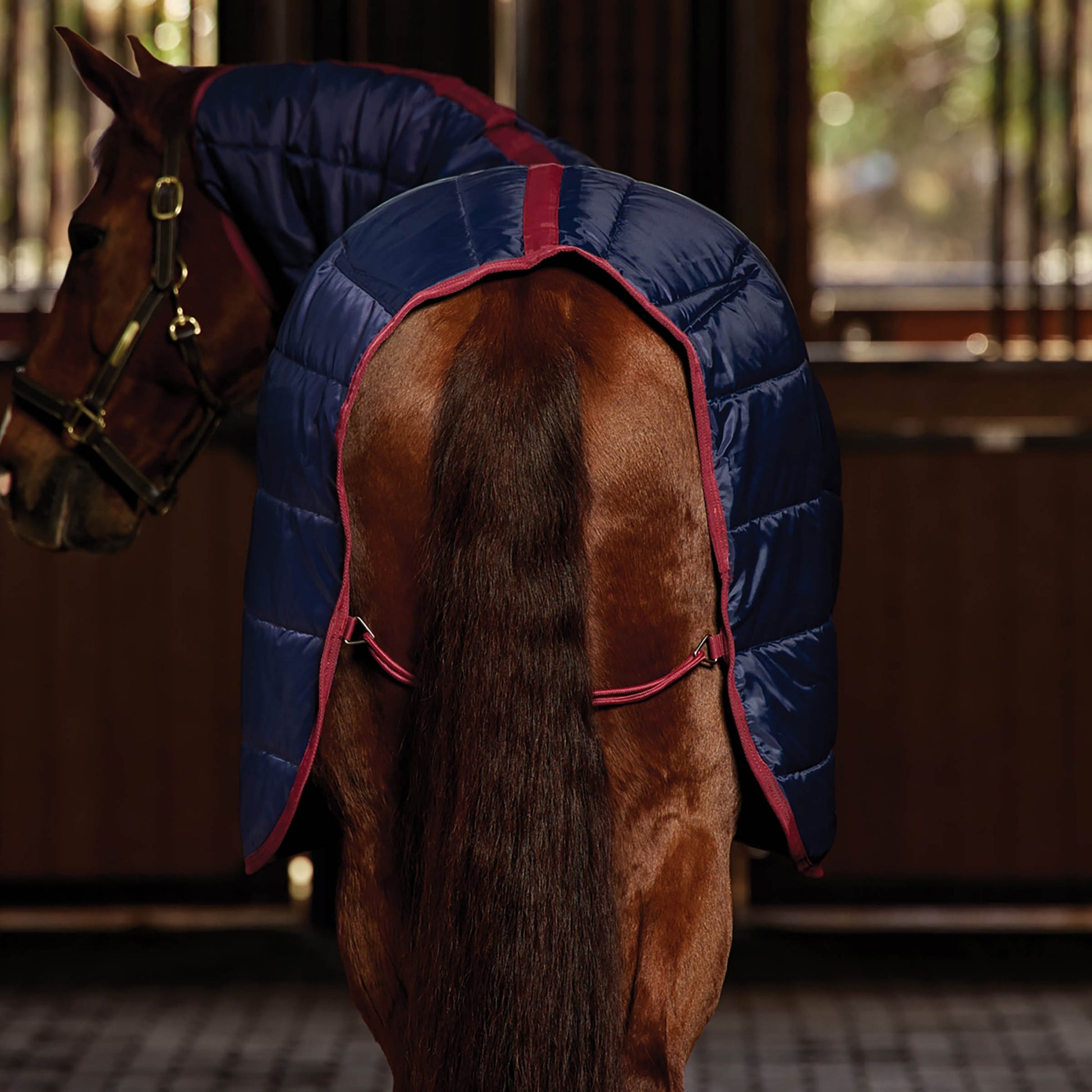 Weatherbeeta Stable Rug Combo 100g