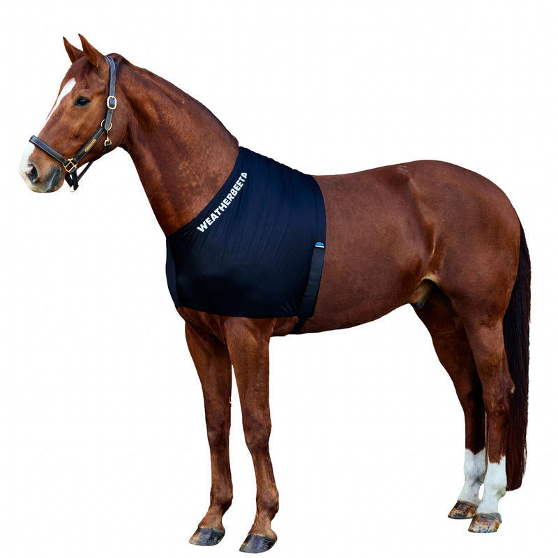 Weatherbeeta Stretch Shoulder Guard