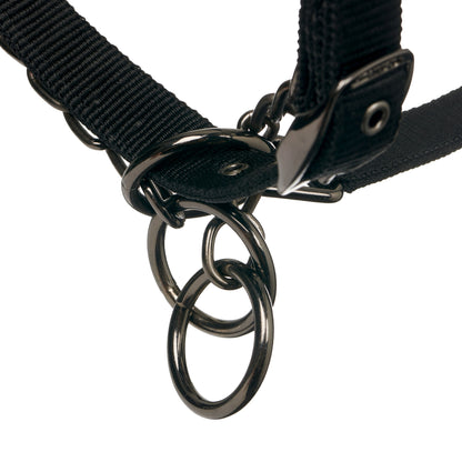 Lemieux ProSafe Halter