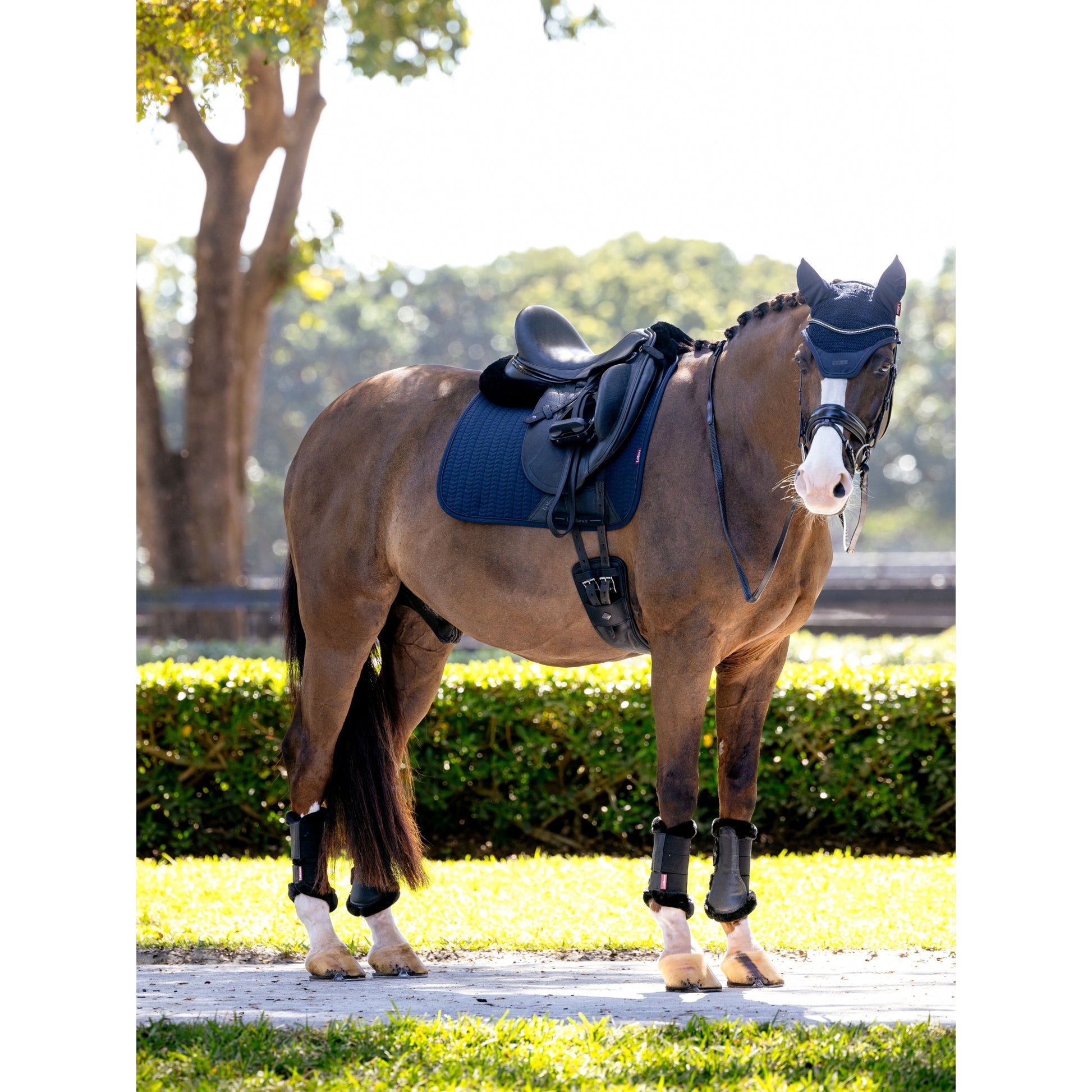 Lemieux Essence Dressage Square Pad