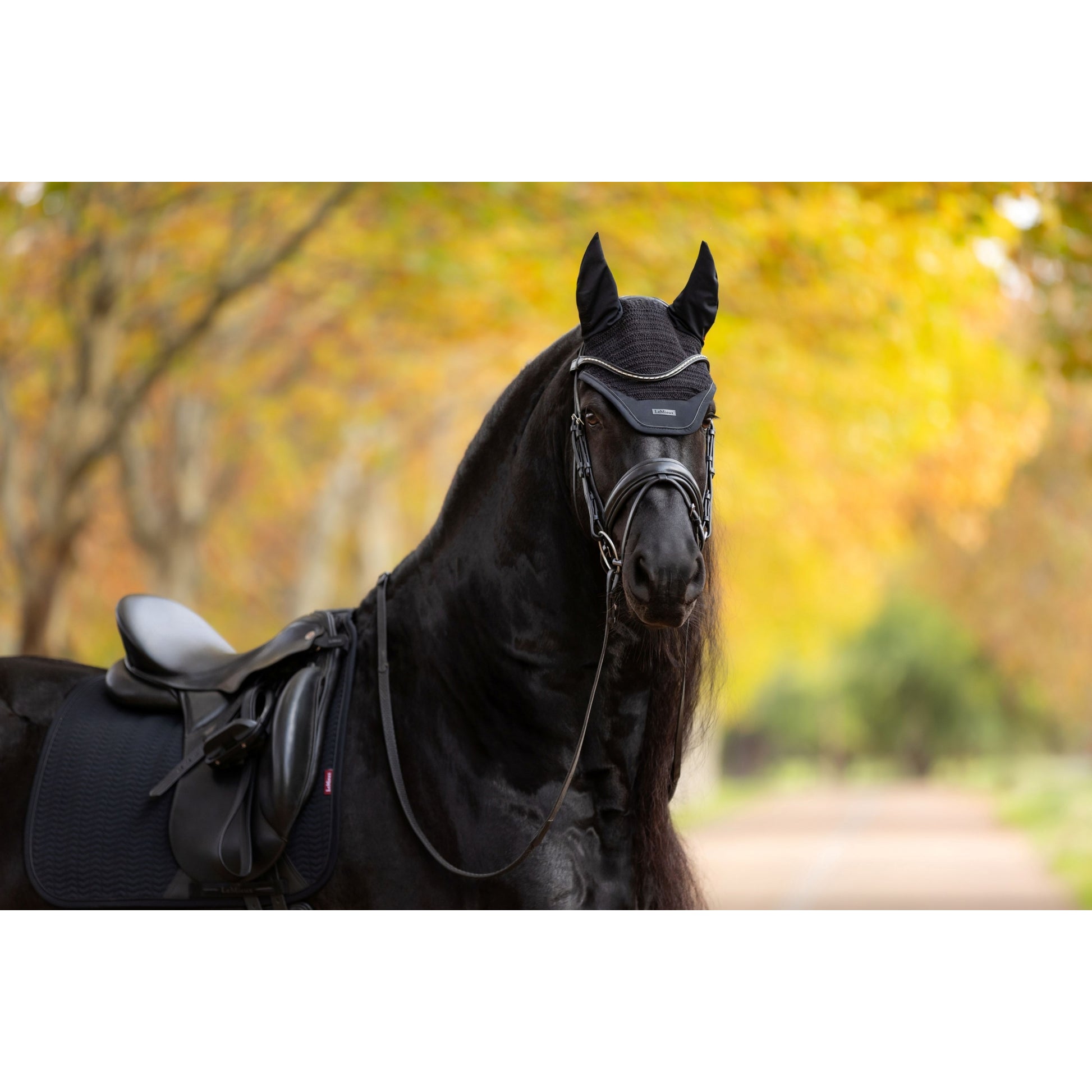 Lemieux Essence Fly Bonnet