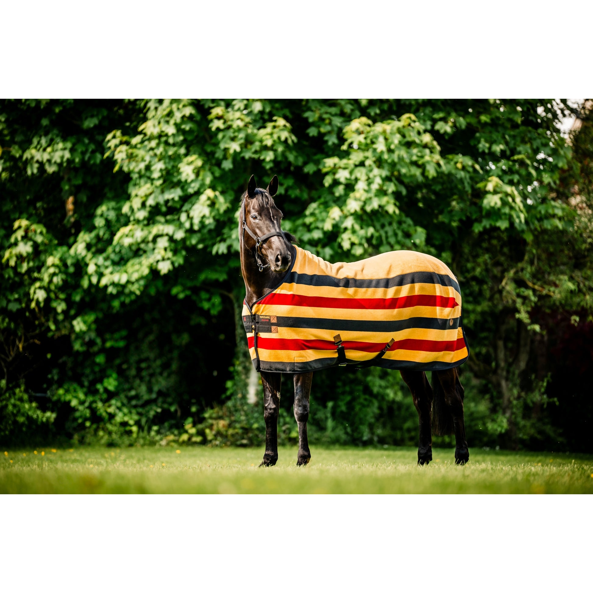 Horseware Newmarket Fleece Cooler