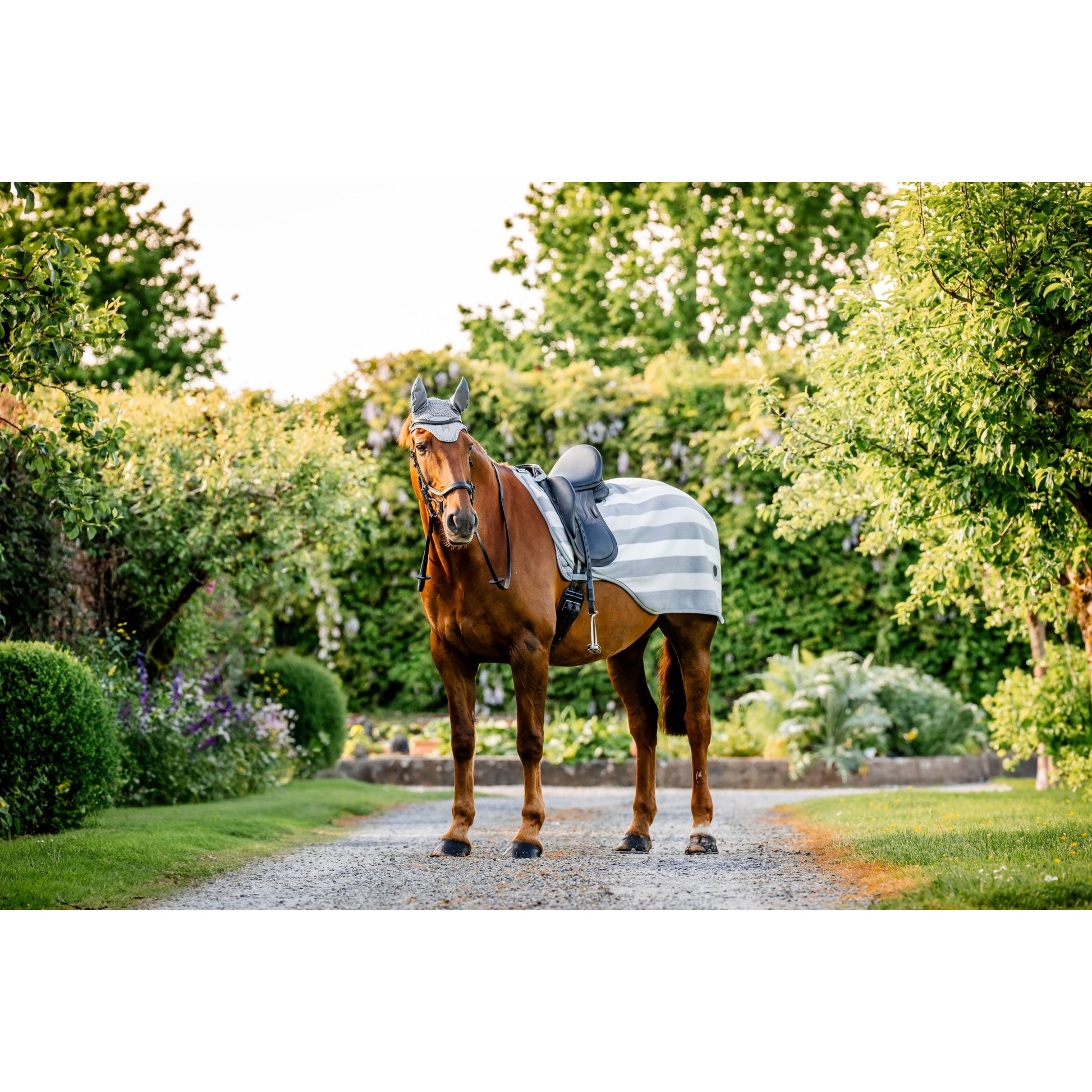 Horseware Newmarket Exercise Sheet