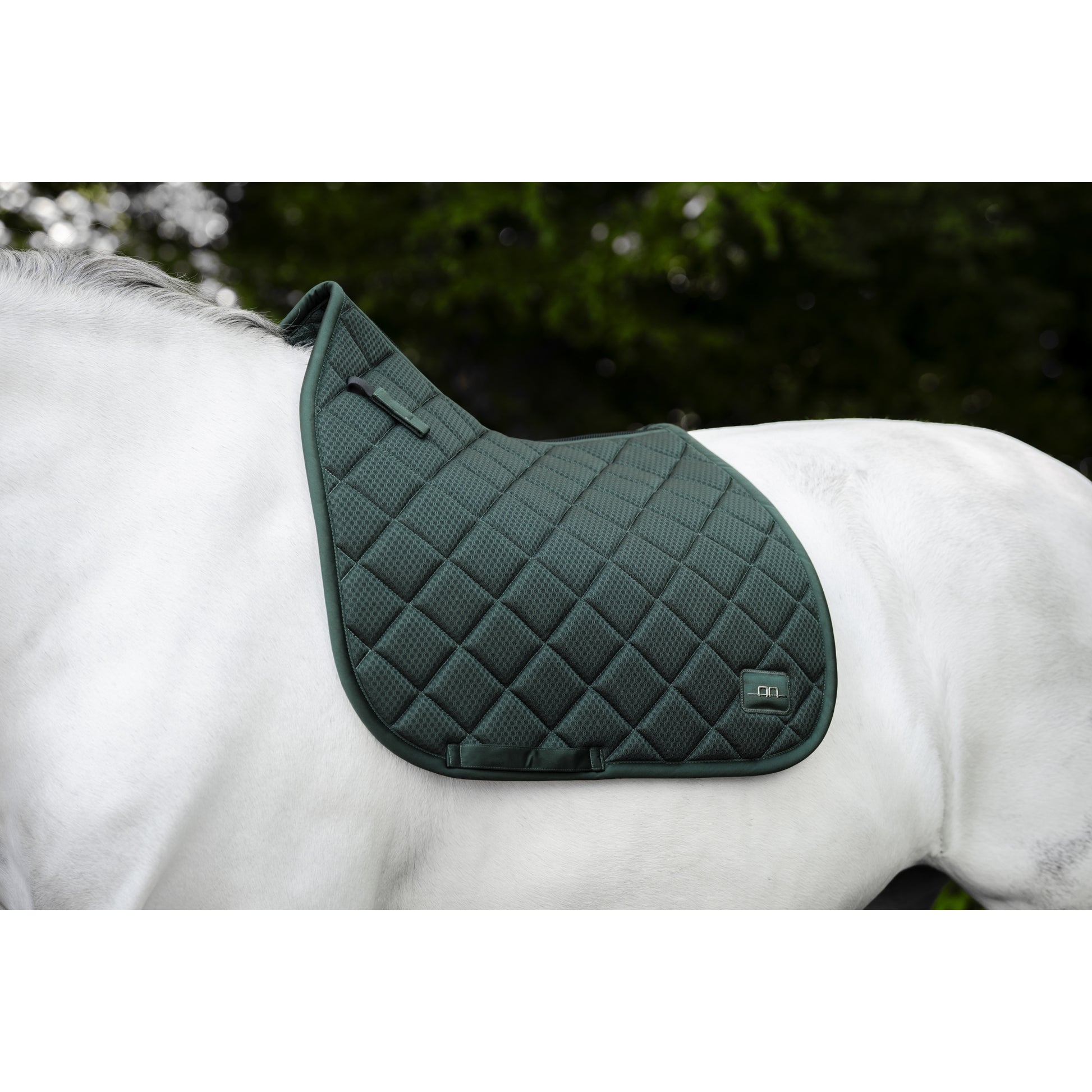 Alessandro Albanese Performance Dressage Pad