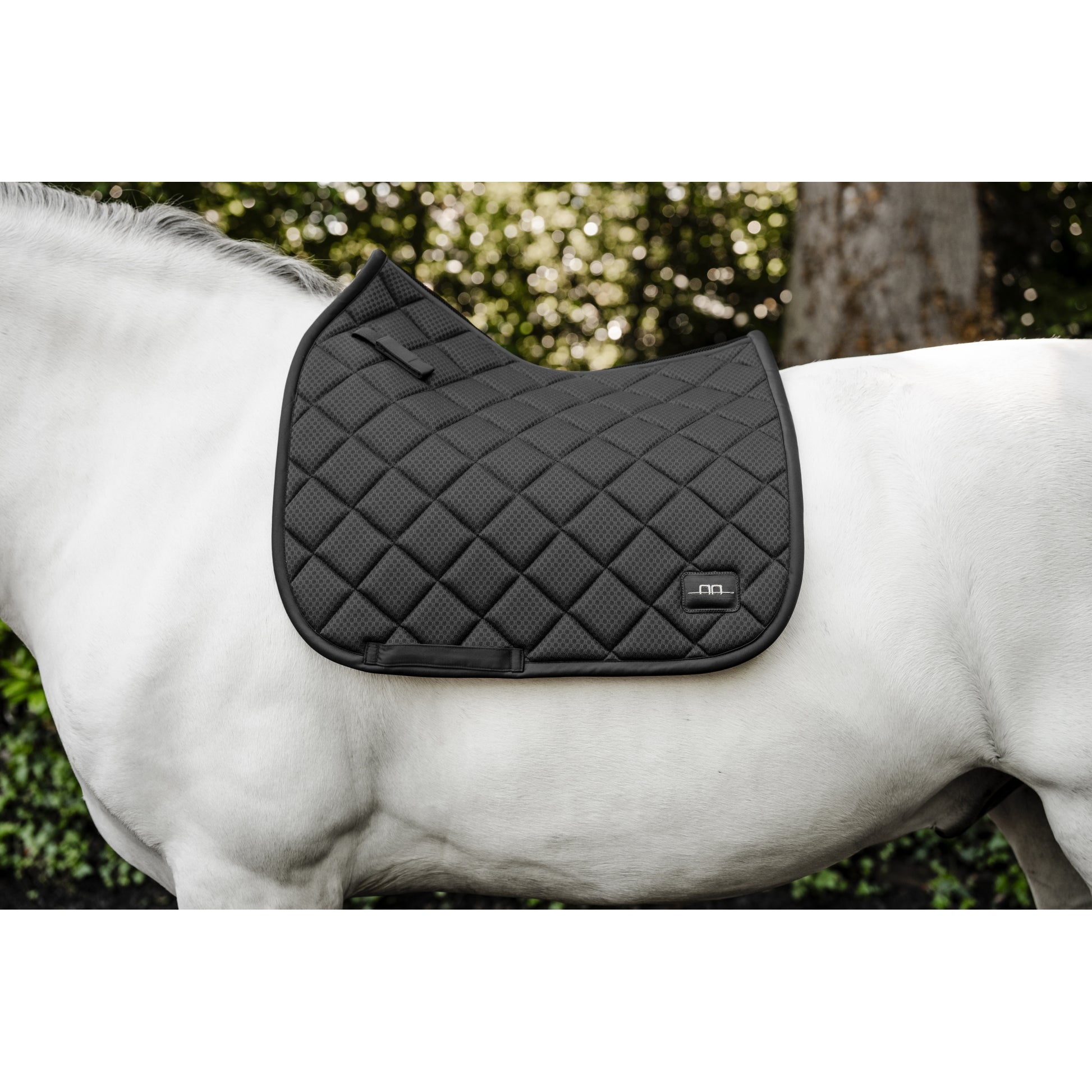 Alessandro Albanese Performance Dressage Pad