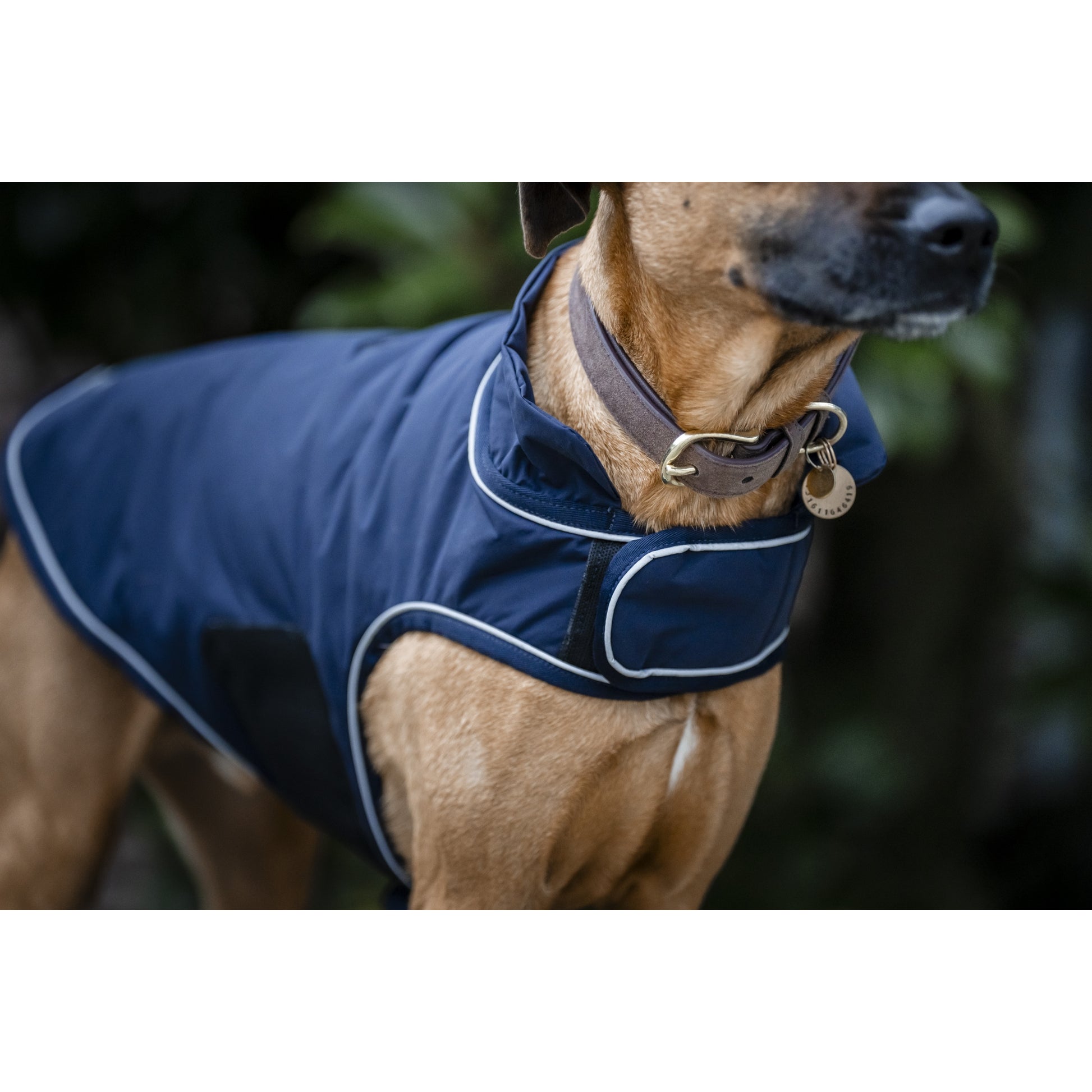 Horseware Signature Dog Rain Coat 100g