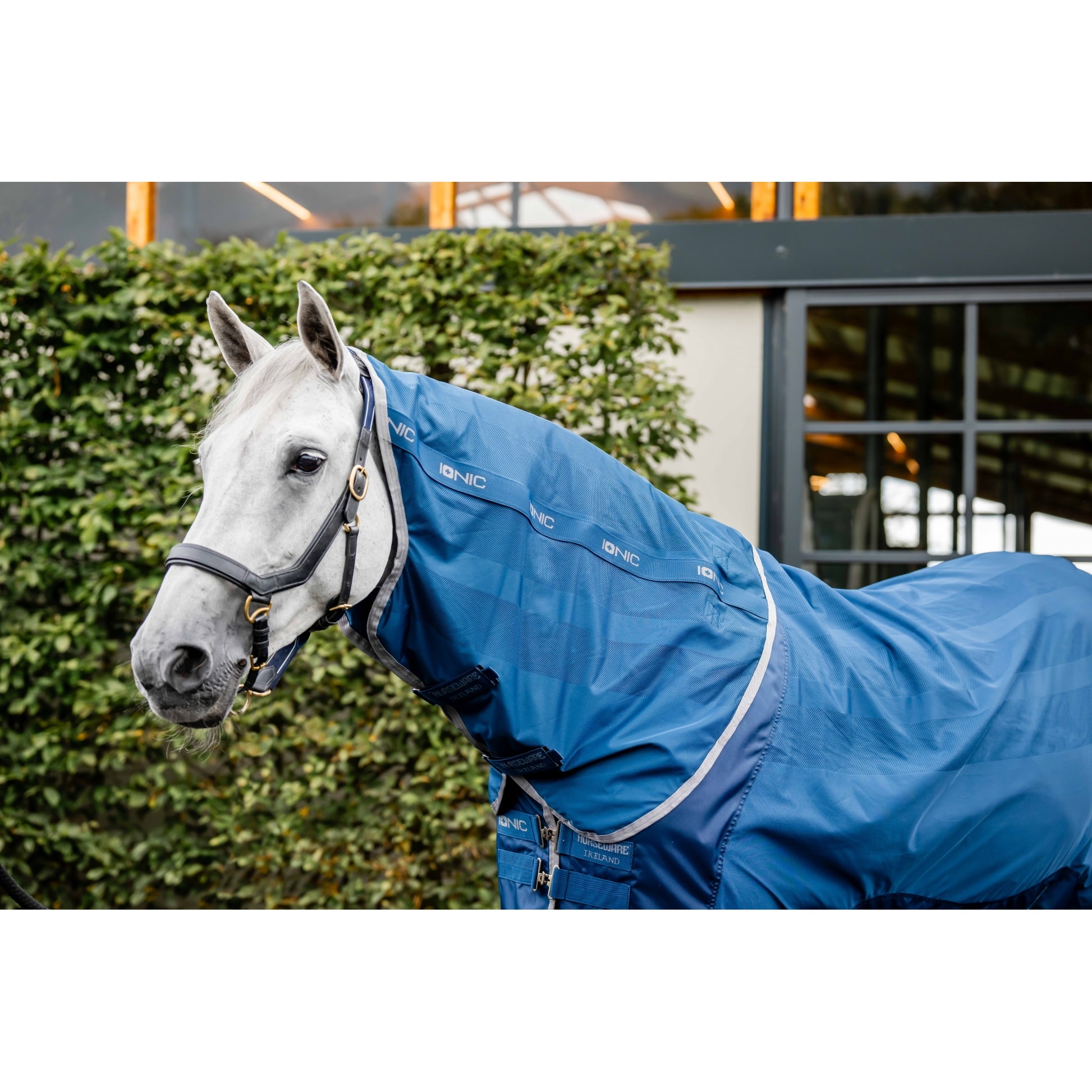 Horseware Ionic Therapy Mesh Cooler Hood