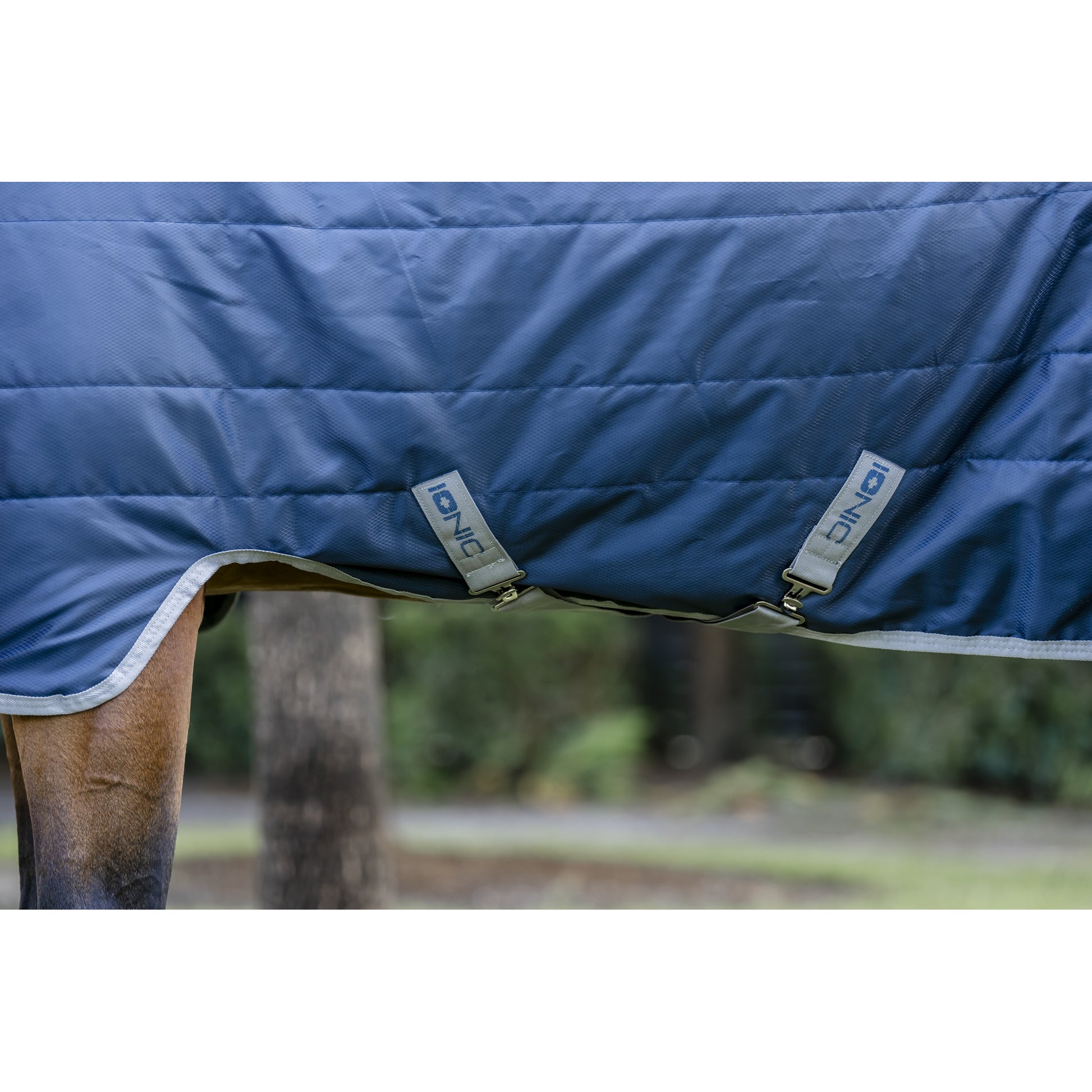 Horseware Ionic Therapy Quarter Horse Stable 50g