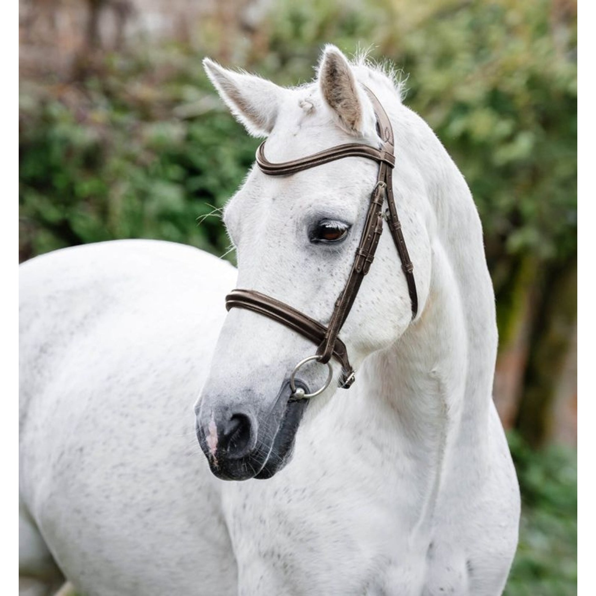 Horseware Pony Cavesson Bridle