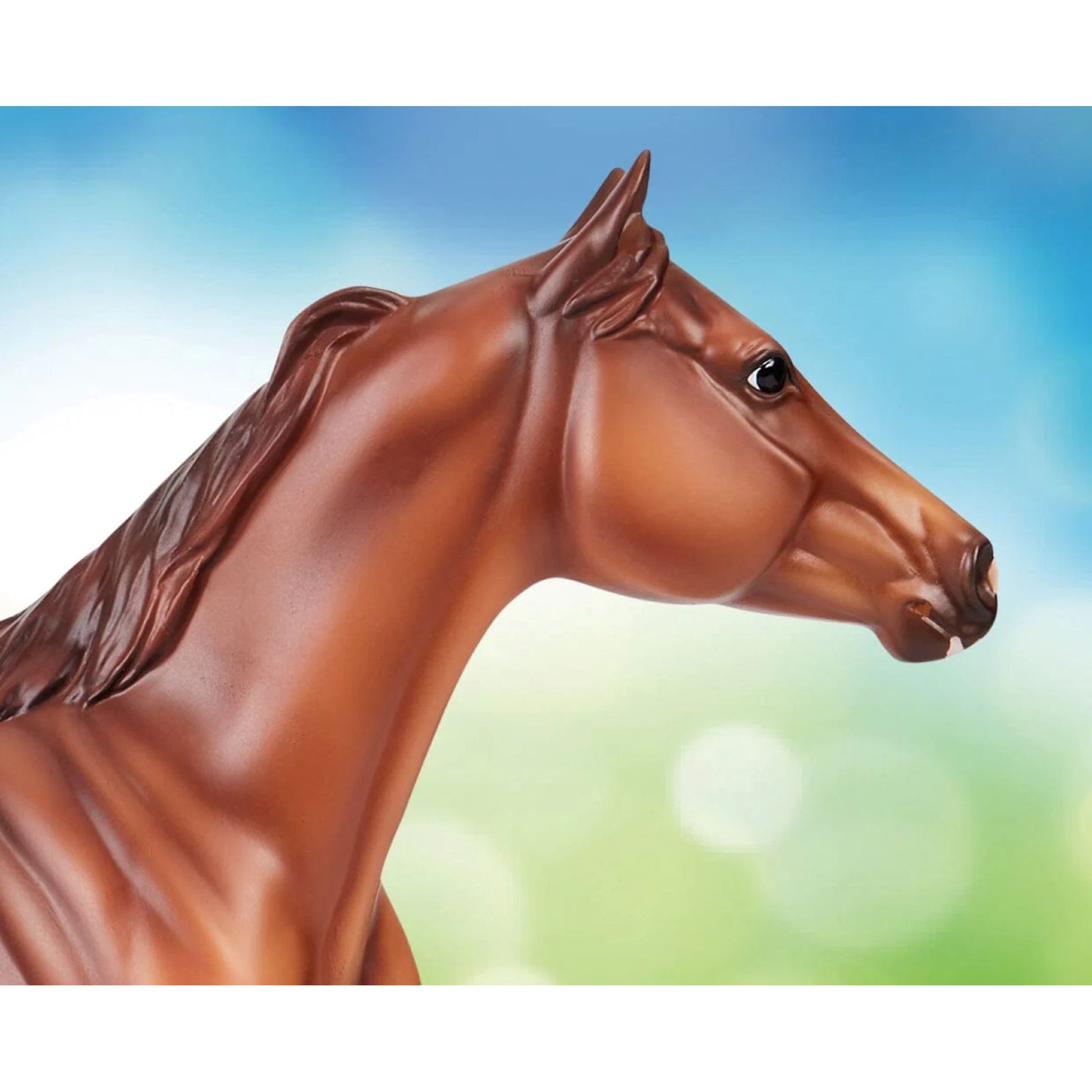 Breyer Apollitical Jess