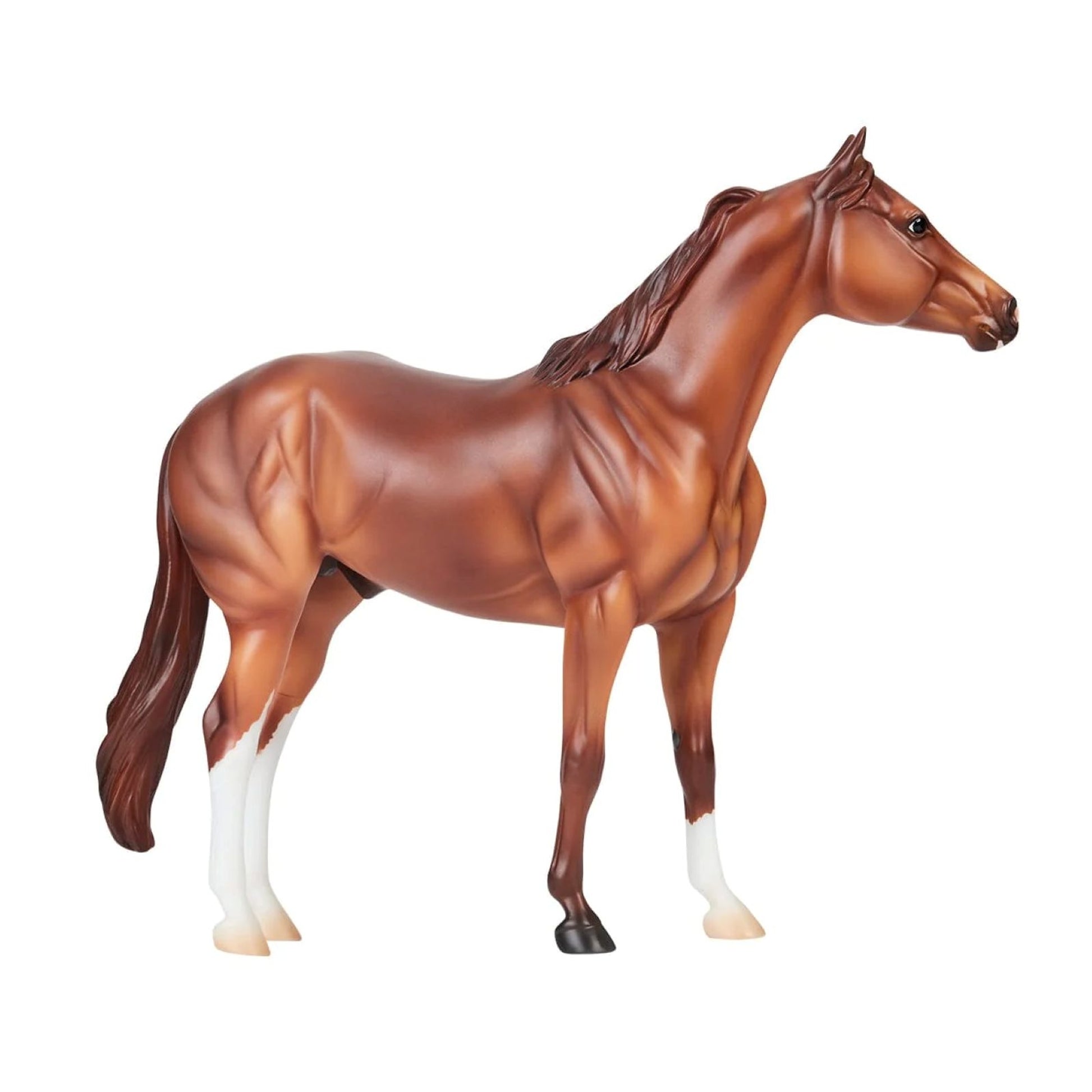 Breyer Apollitical Jess