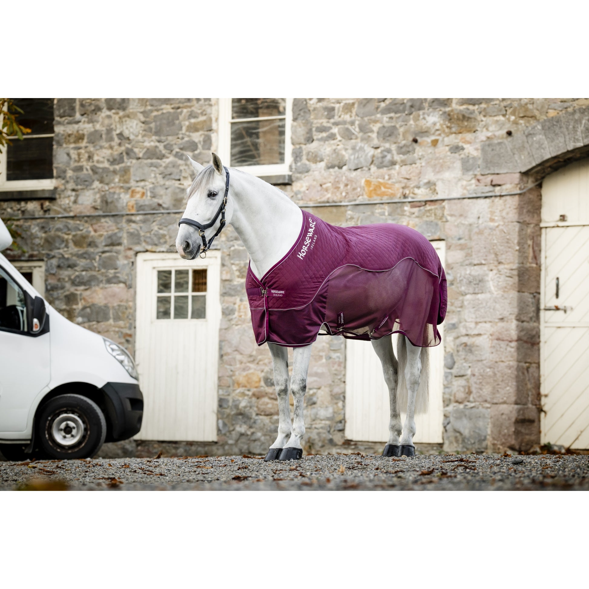 Horseware Signature Travel Cooler