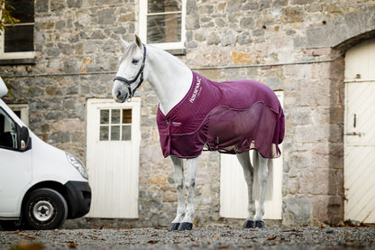 Horseware Signature Travel Cooler