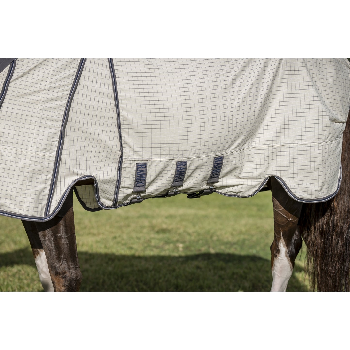 4-514395-2.jpg