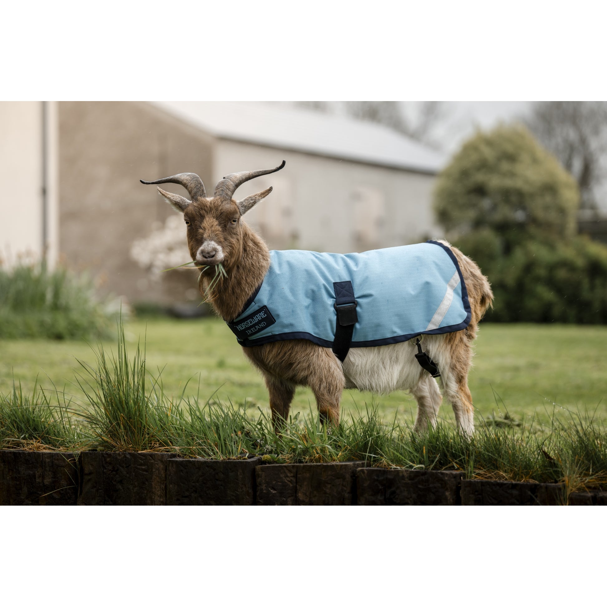 Horseware Goat Coat 100g