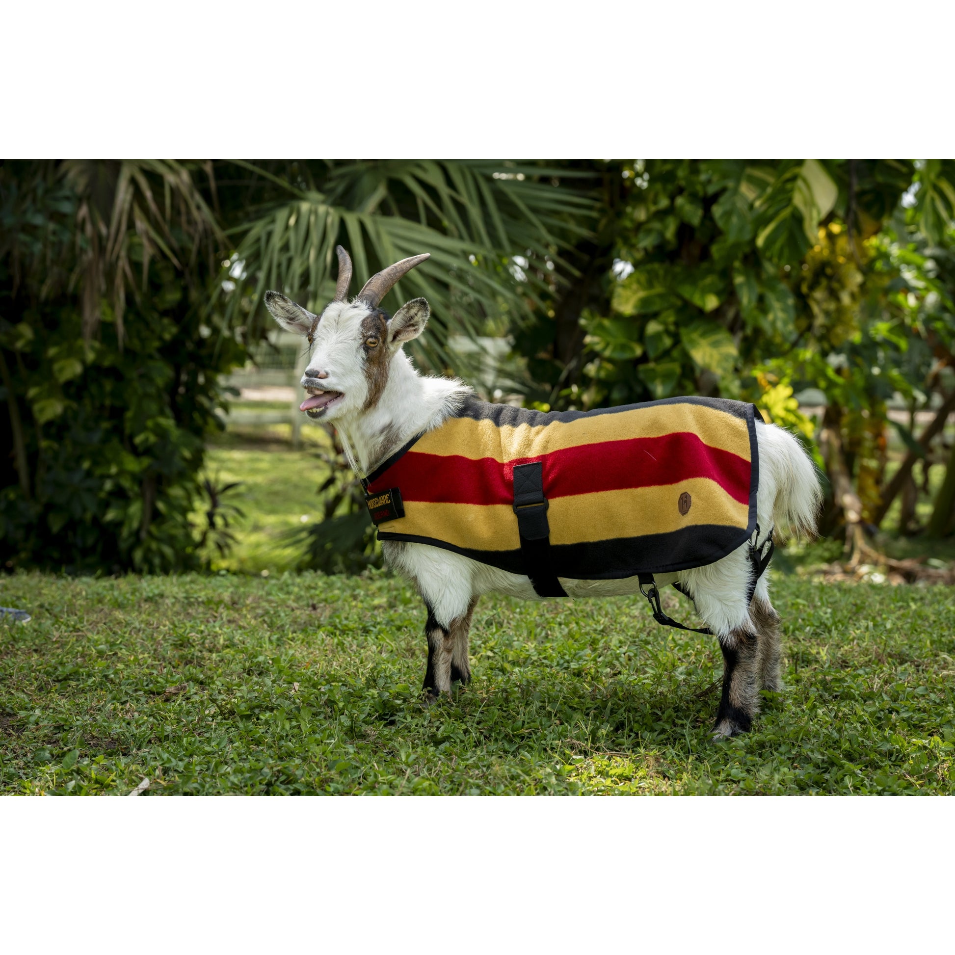 Horseware Newmarket Goat Fleece