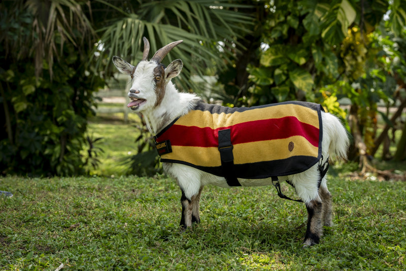 Horseware Newmarket Goat Fleece