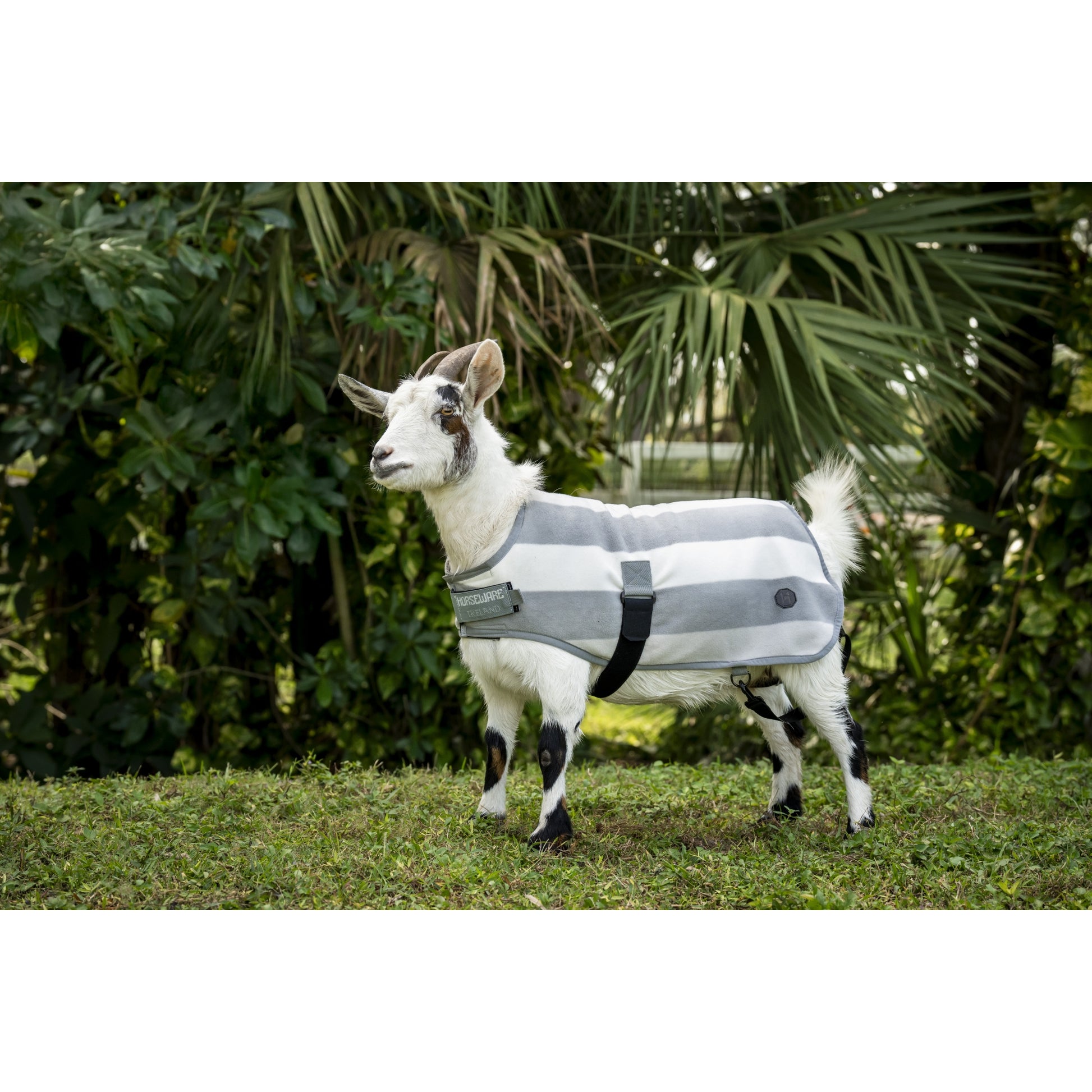 Horseware Newmarket Goat Fleece
