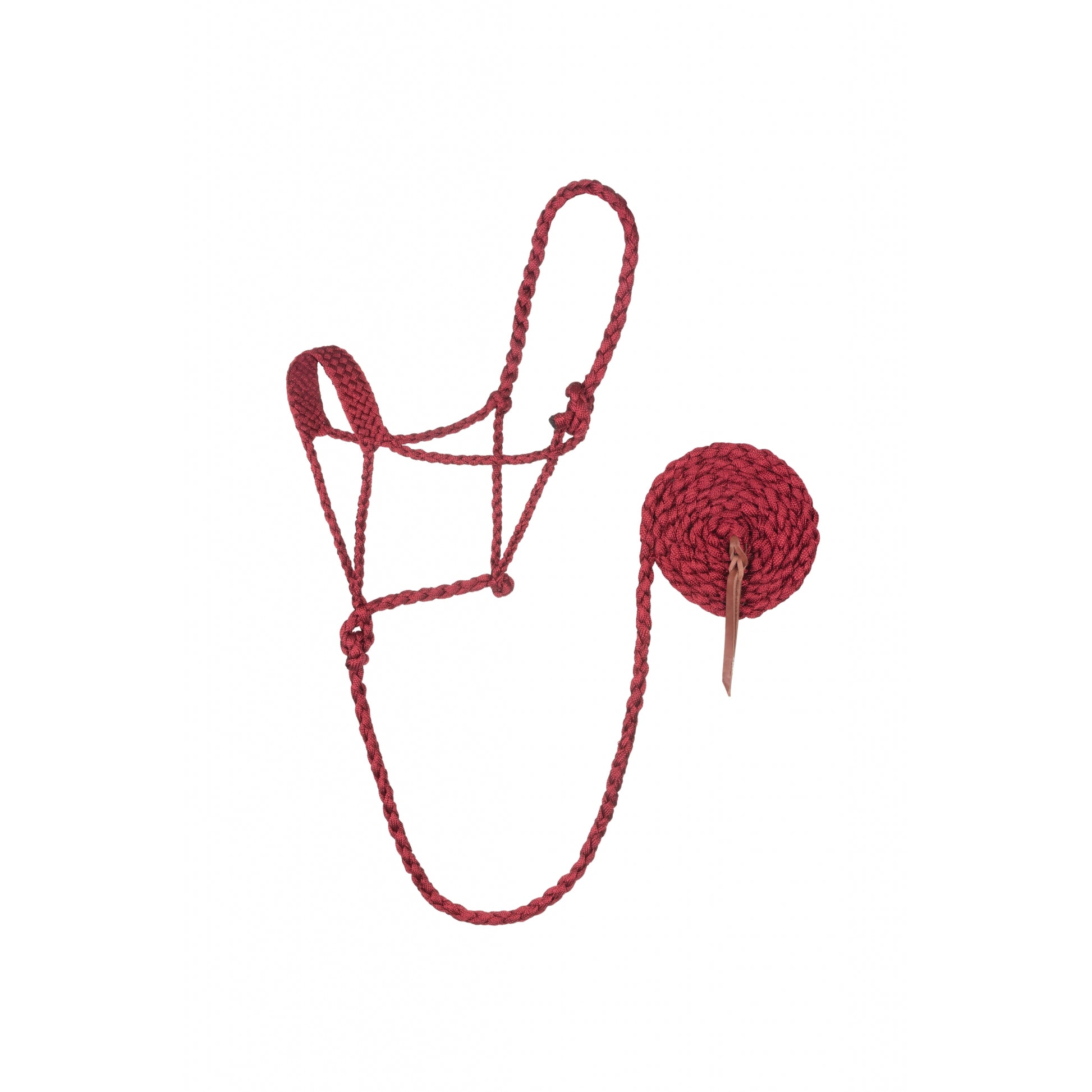 Weaver Braided Rope Halter with 10' Lead