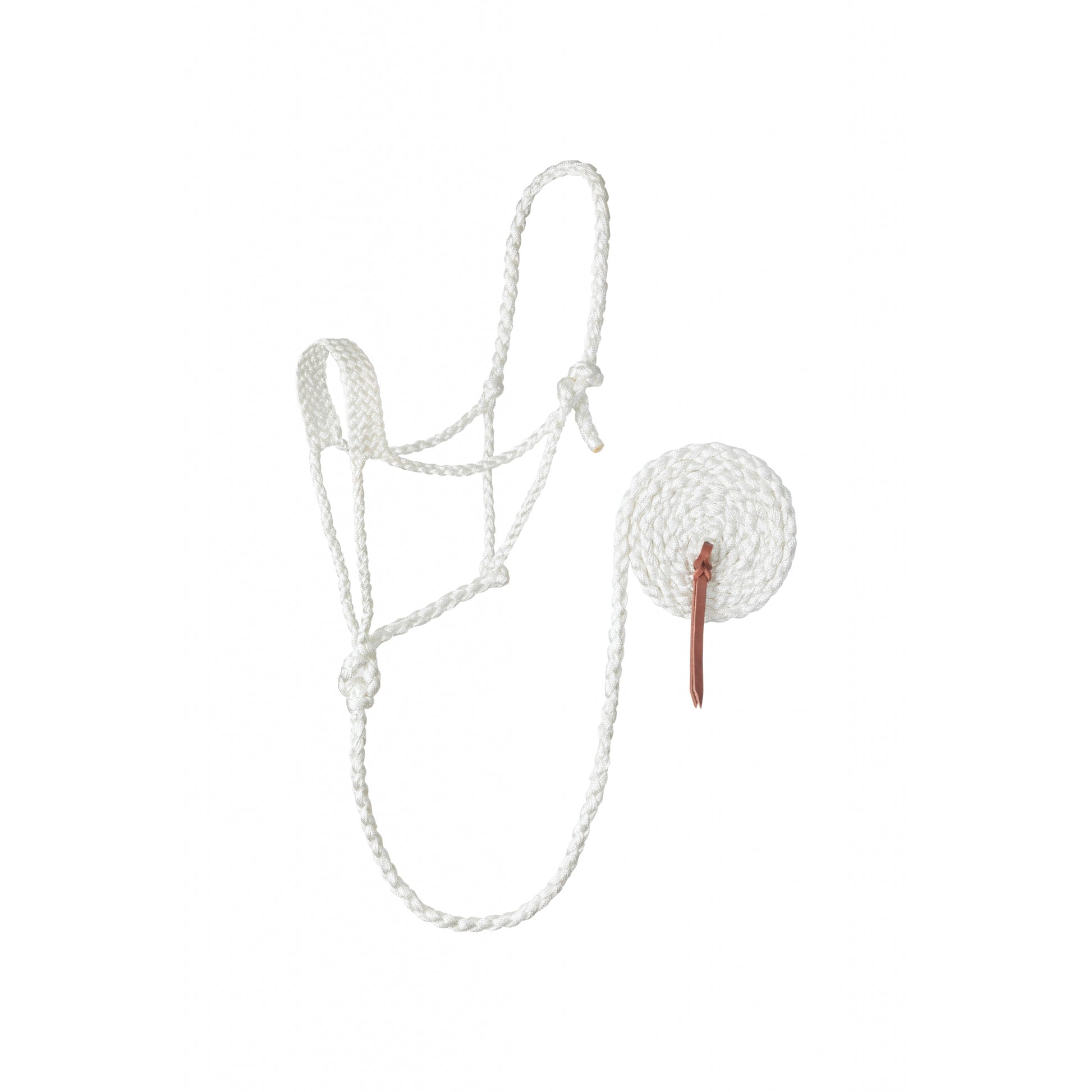 Weaver Braided Rope Halter with 10' Lead