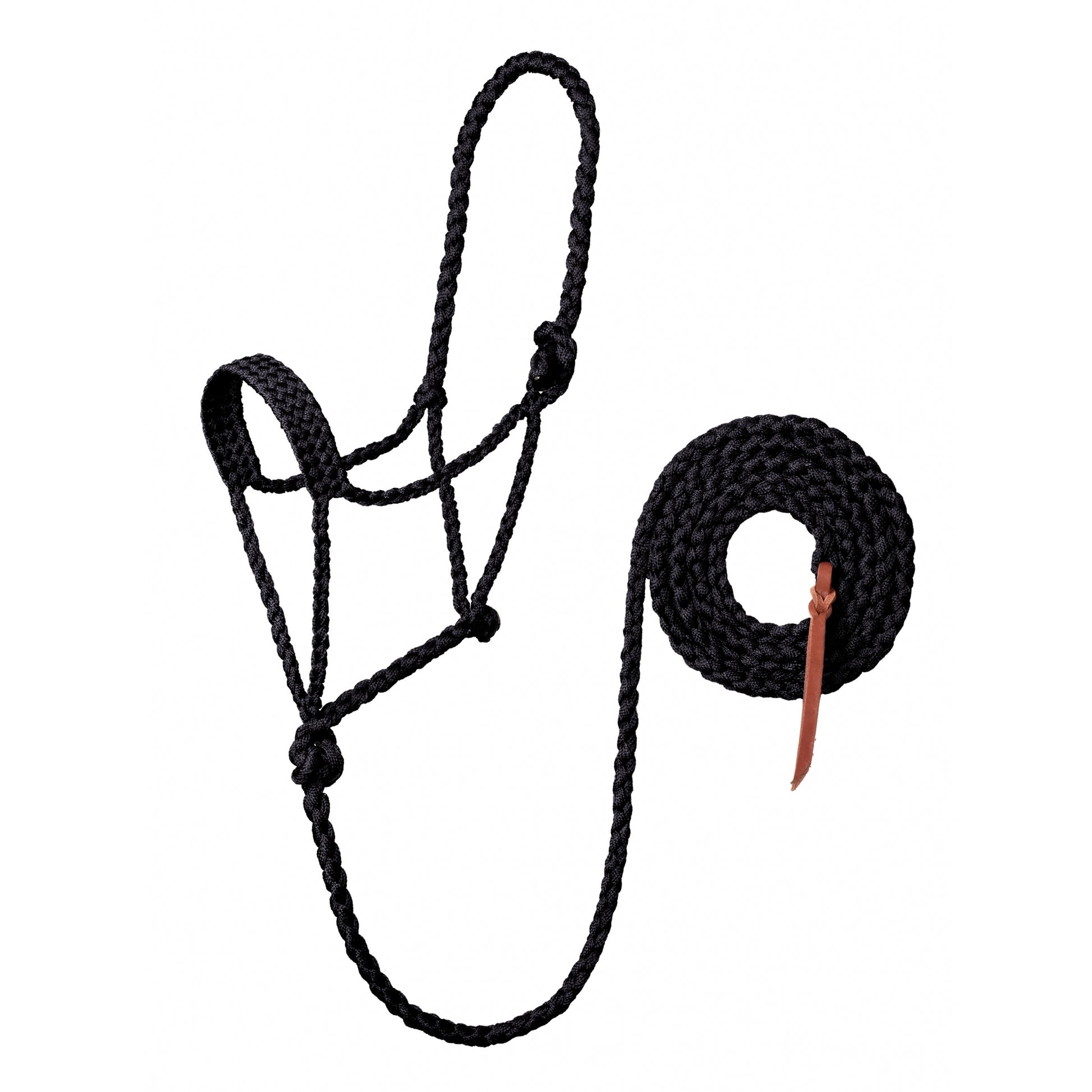 Weaver Braided Rope Halter with 10' Lead