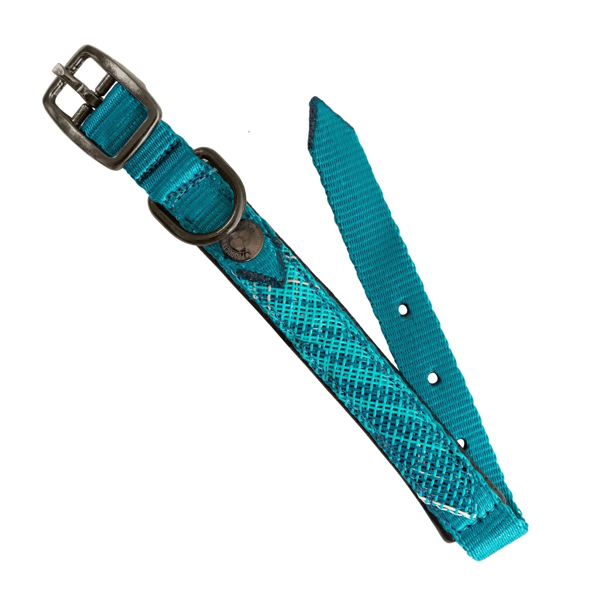 Kensington Nylon Dog Collar with Padding