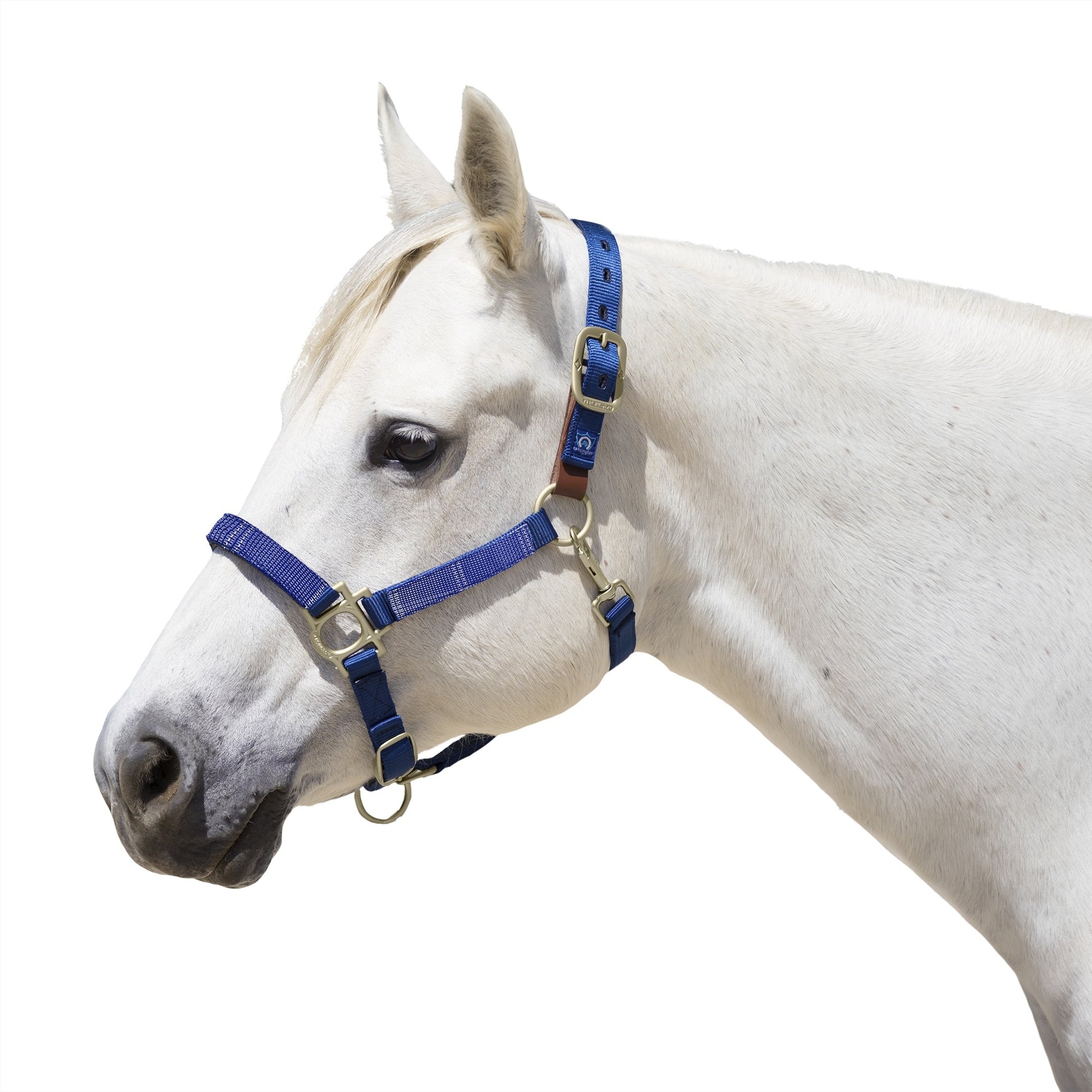 Kensington Breakaway Halter
