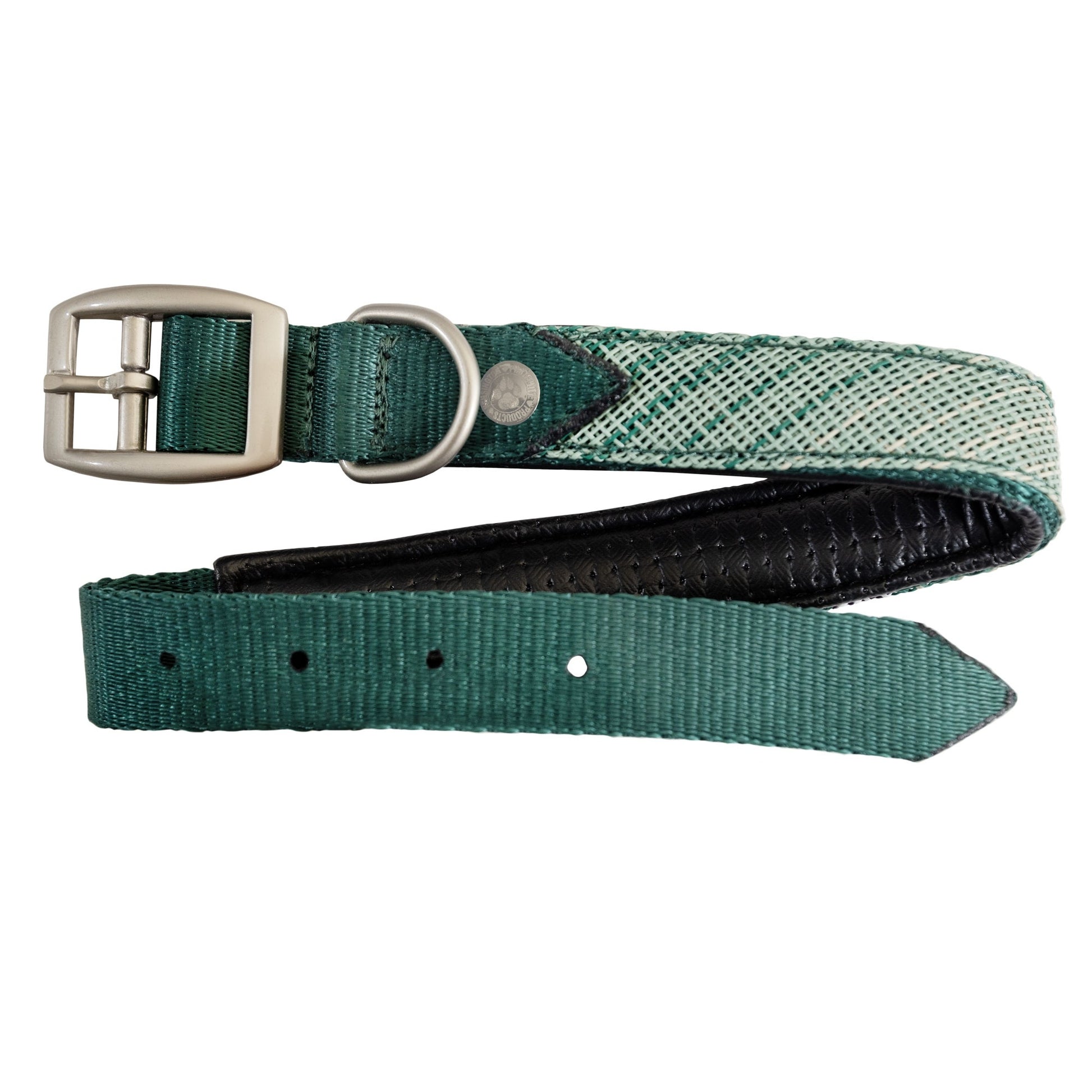 Kensington Nylon Dog Collar with Padding
