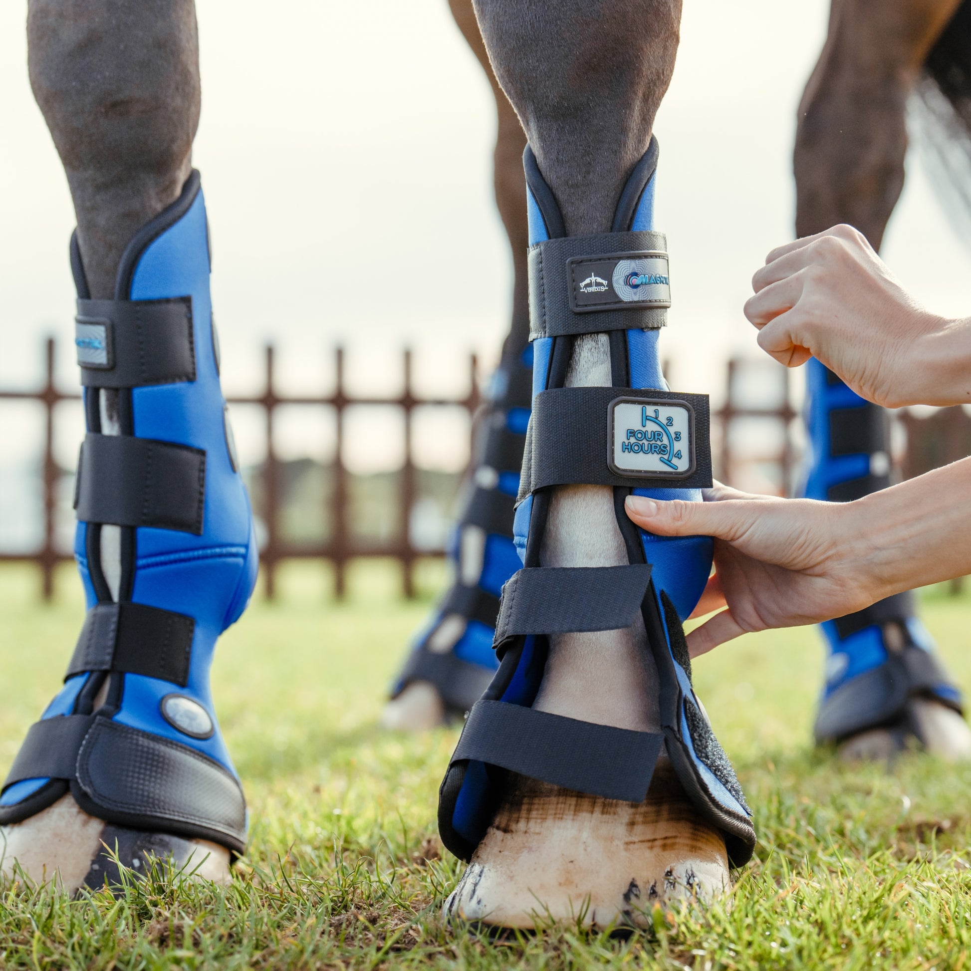 Veredus Magnetik 4-Hour Front Stable Boots