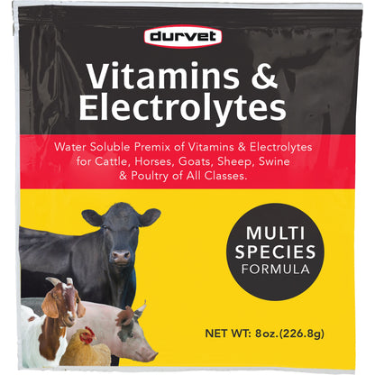 Vitamins And Electrolytes Concentrate 4oz