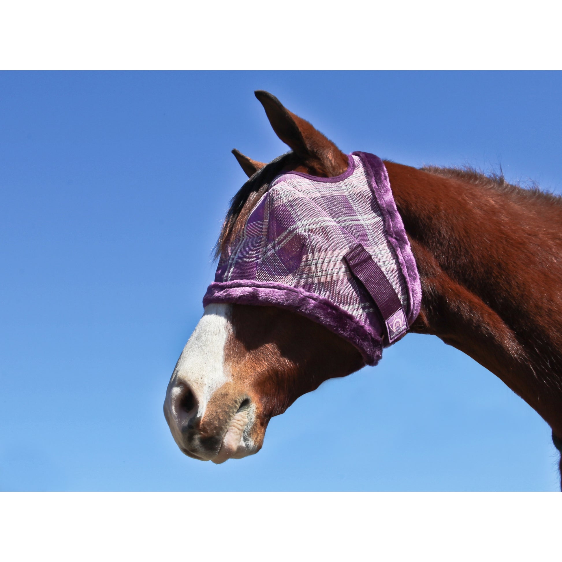 Kensington Fly Mask with Fleece Trim
