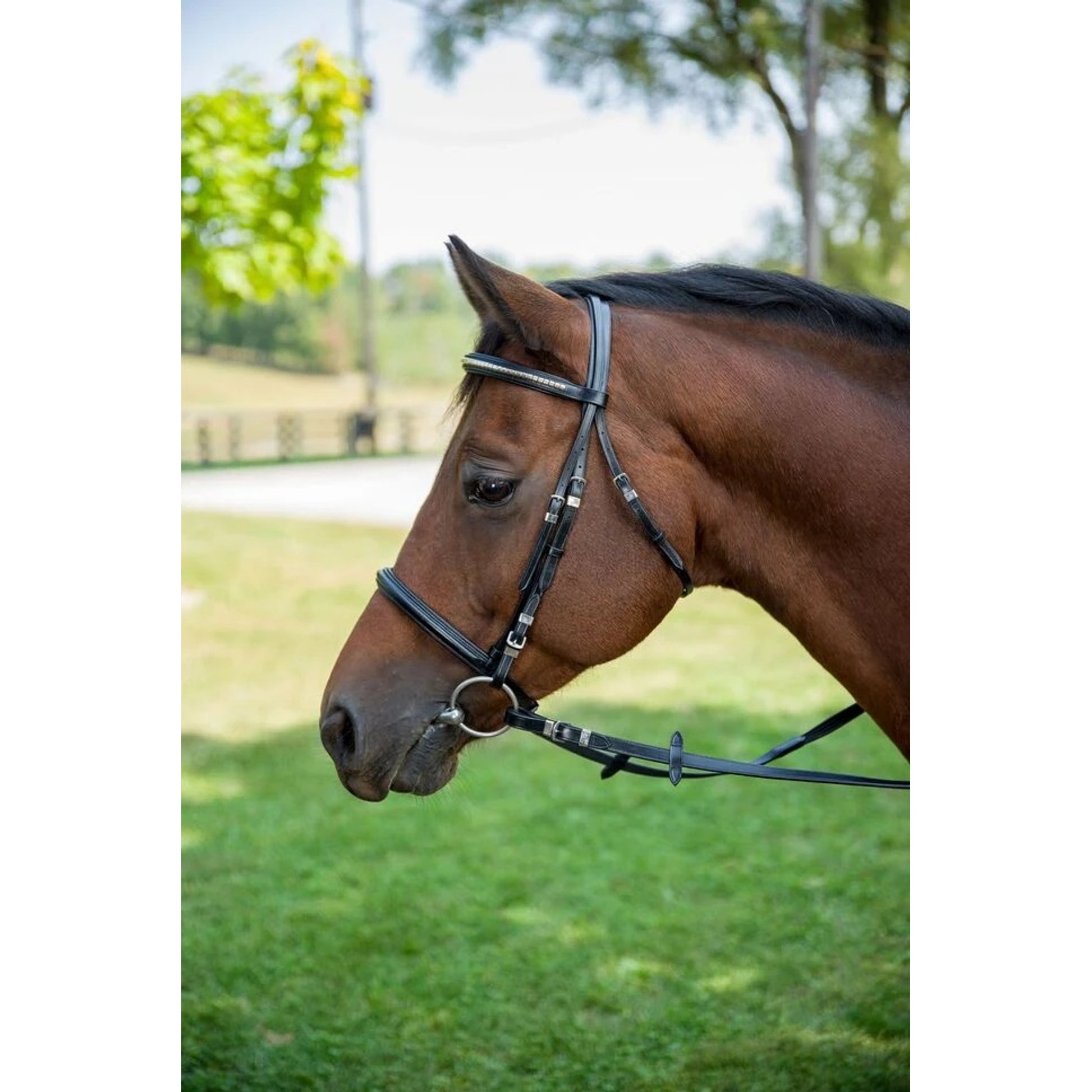 Henri de Rivel Clincher Bridle