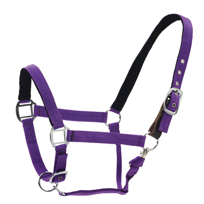 Centaur Solid Cushion Padded Breakaway Halter