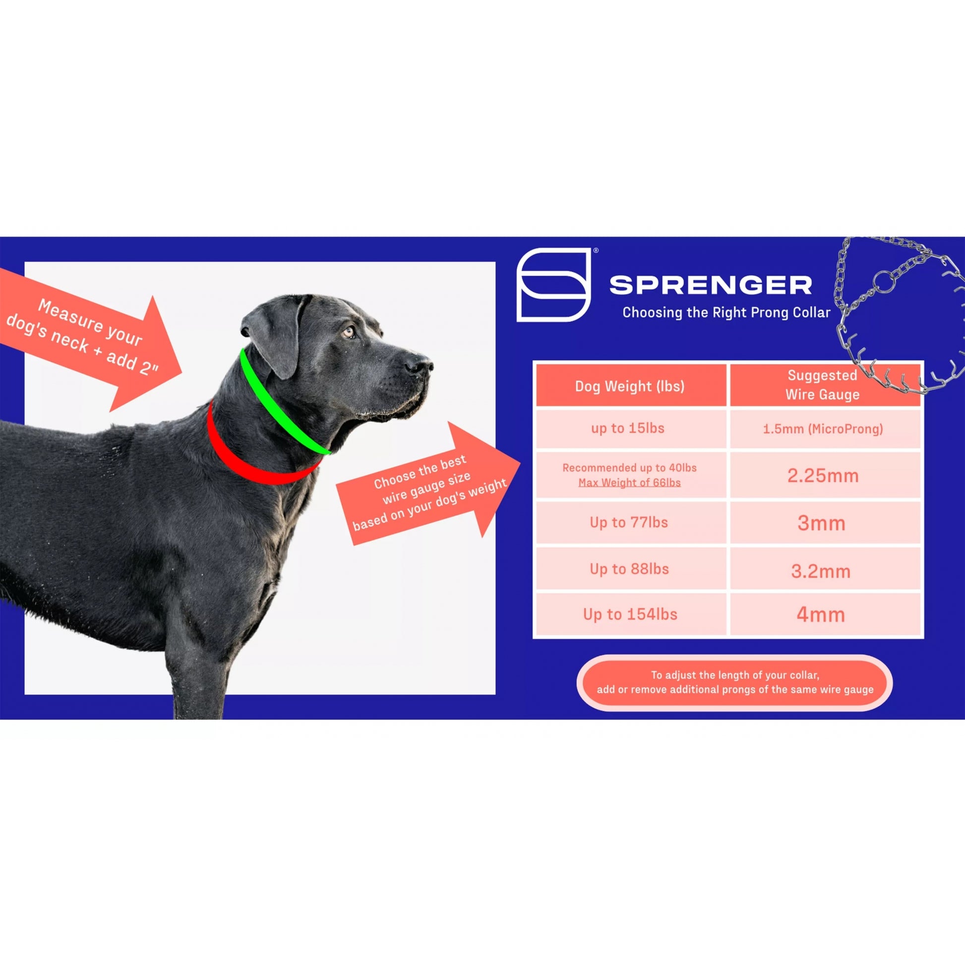Herm Sprenger Ultra-Plus Prong Dog Collar