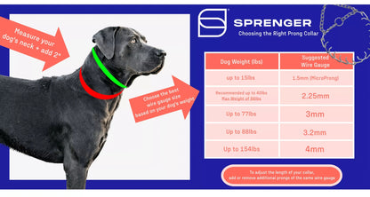 Herm Sprenger Ultra-Plus Prong Dog Collar