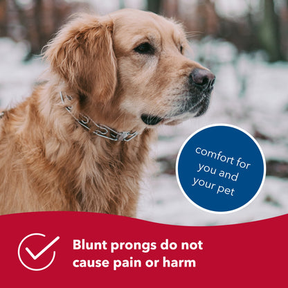 Herm Sprenger Ultra-Plus Prong Dog Collar