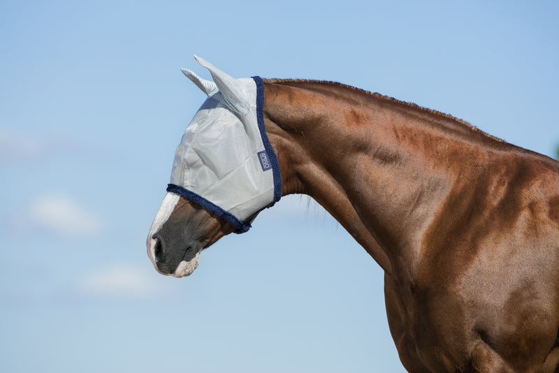 Amigo Fly Mask